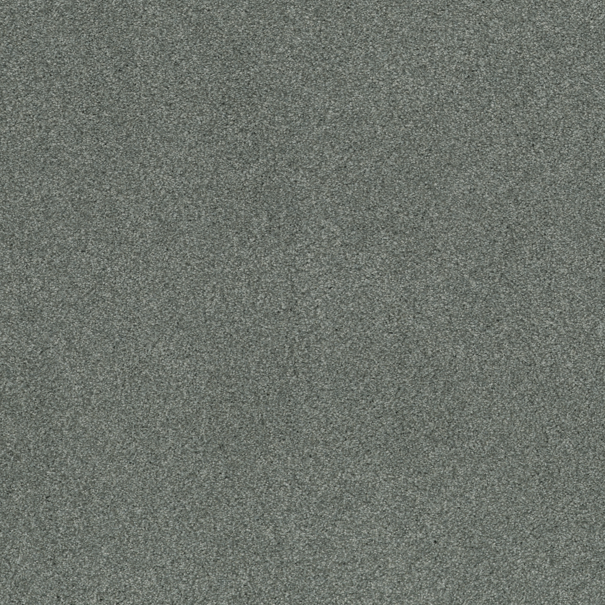 COZY HARBOR II WATERS EDGE MAIN