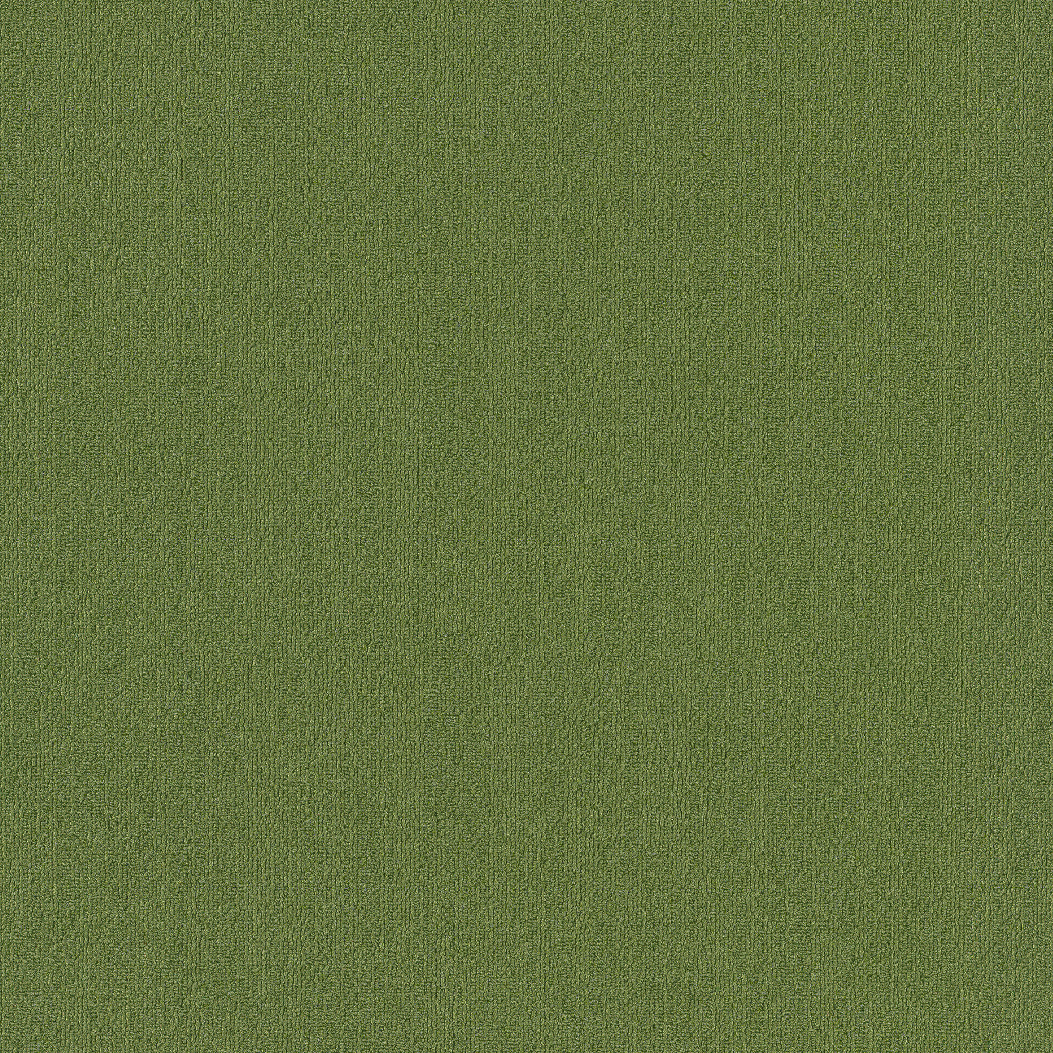 COLOR-ACCENTS-54462-GREEN-62350-main-image