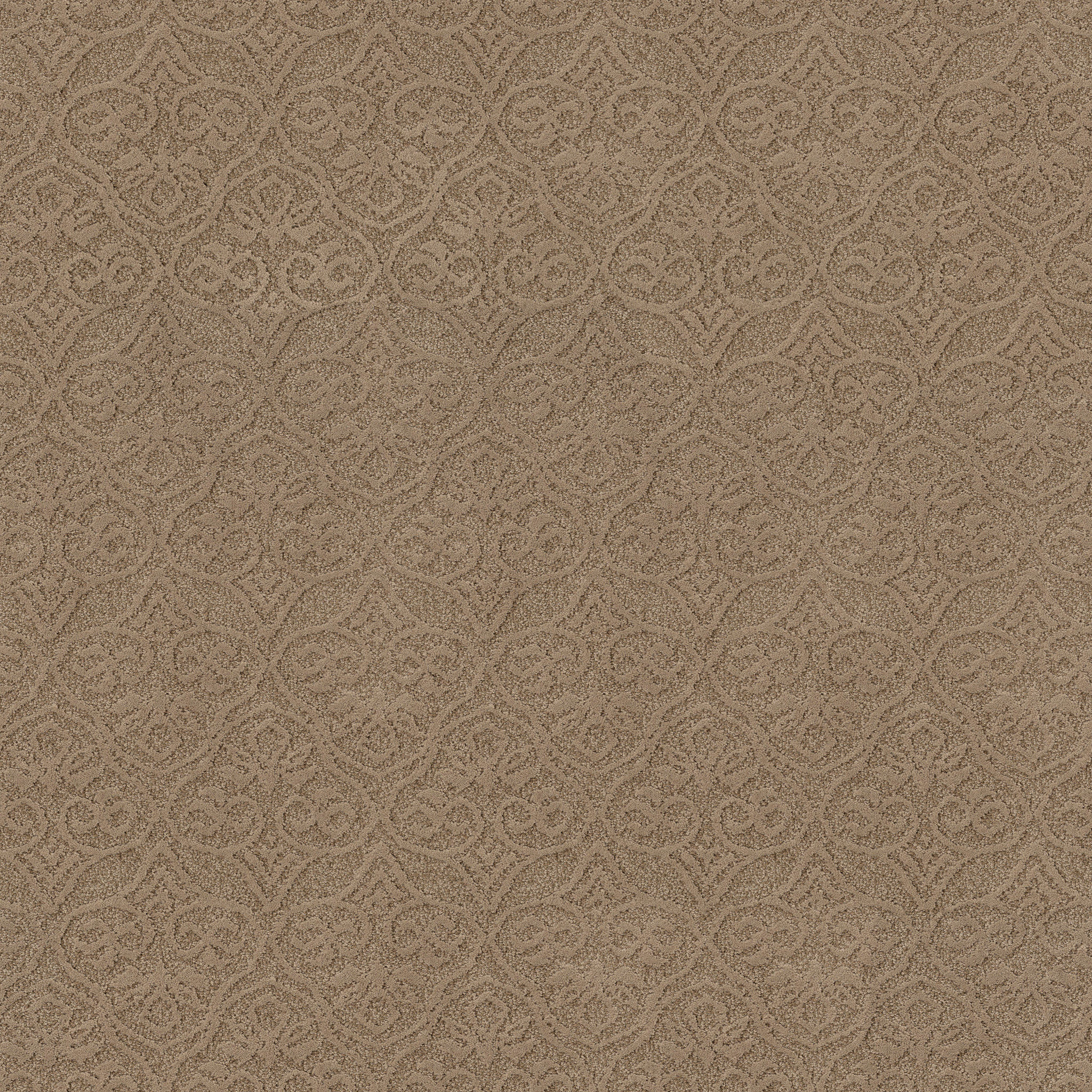 HEIRLOOM ATHENS WHITE PINE MAIN