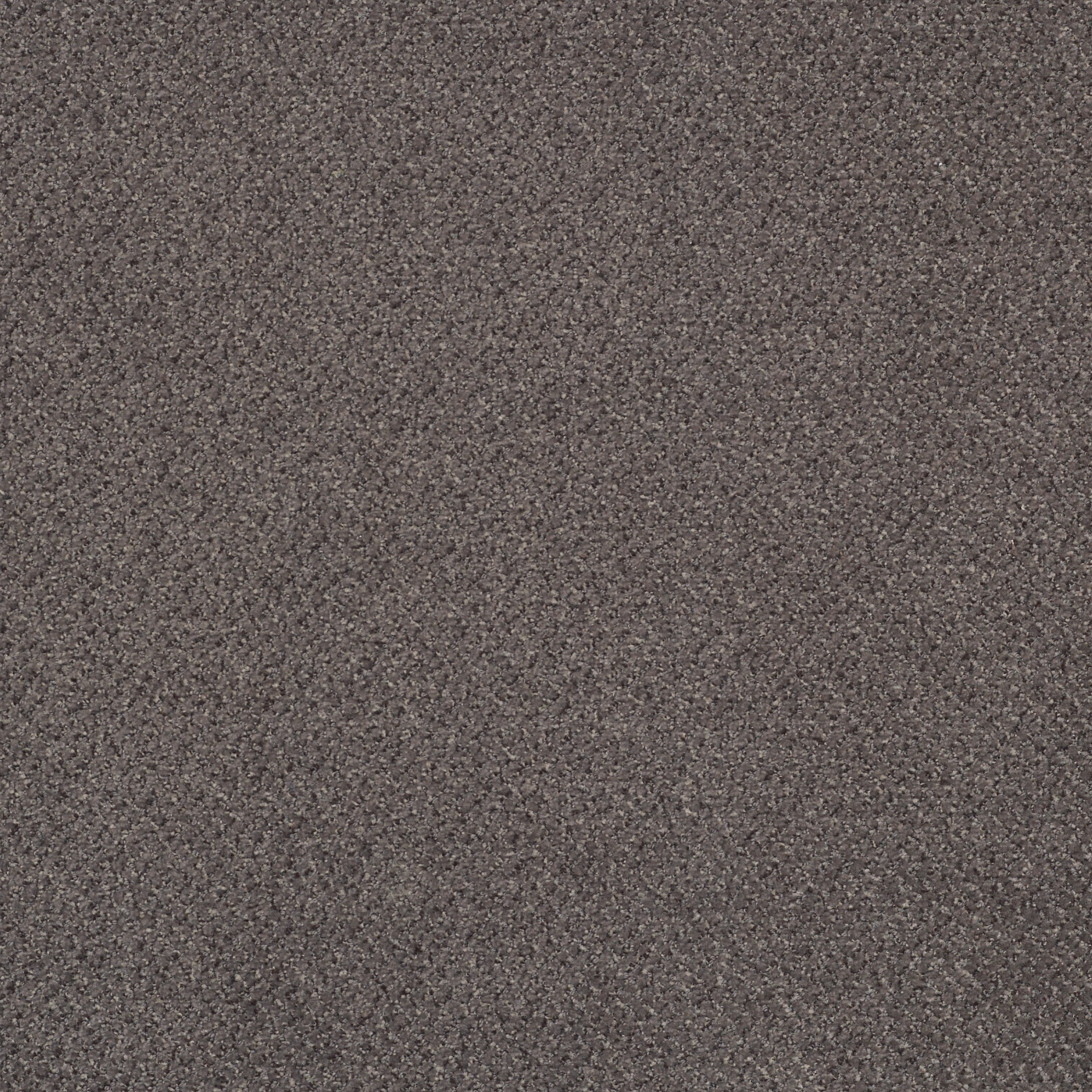 PRESTIGE-J0174-PROMINENCE-74525-main-image