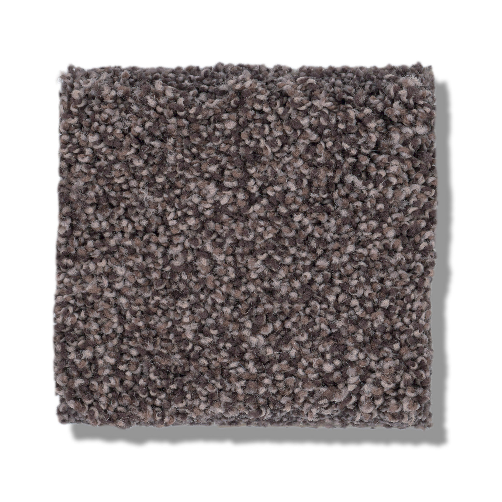 COZY HARBOR II BURMA BROWN SWATCH