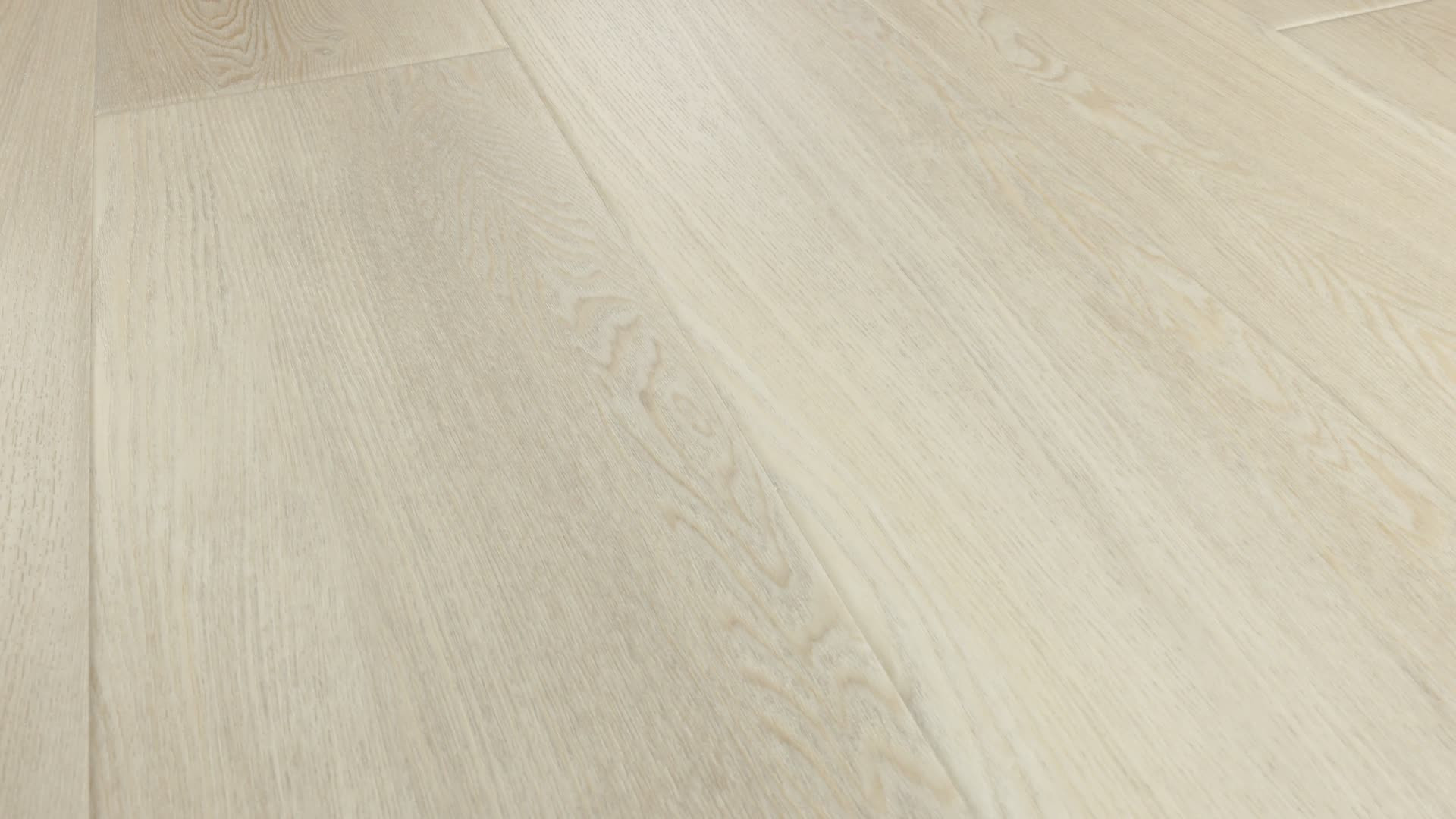 CONCH ASH StaticImage01