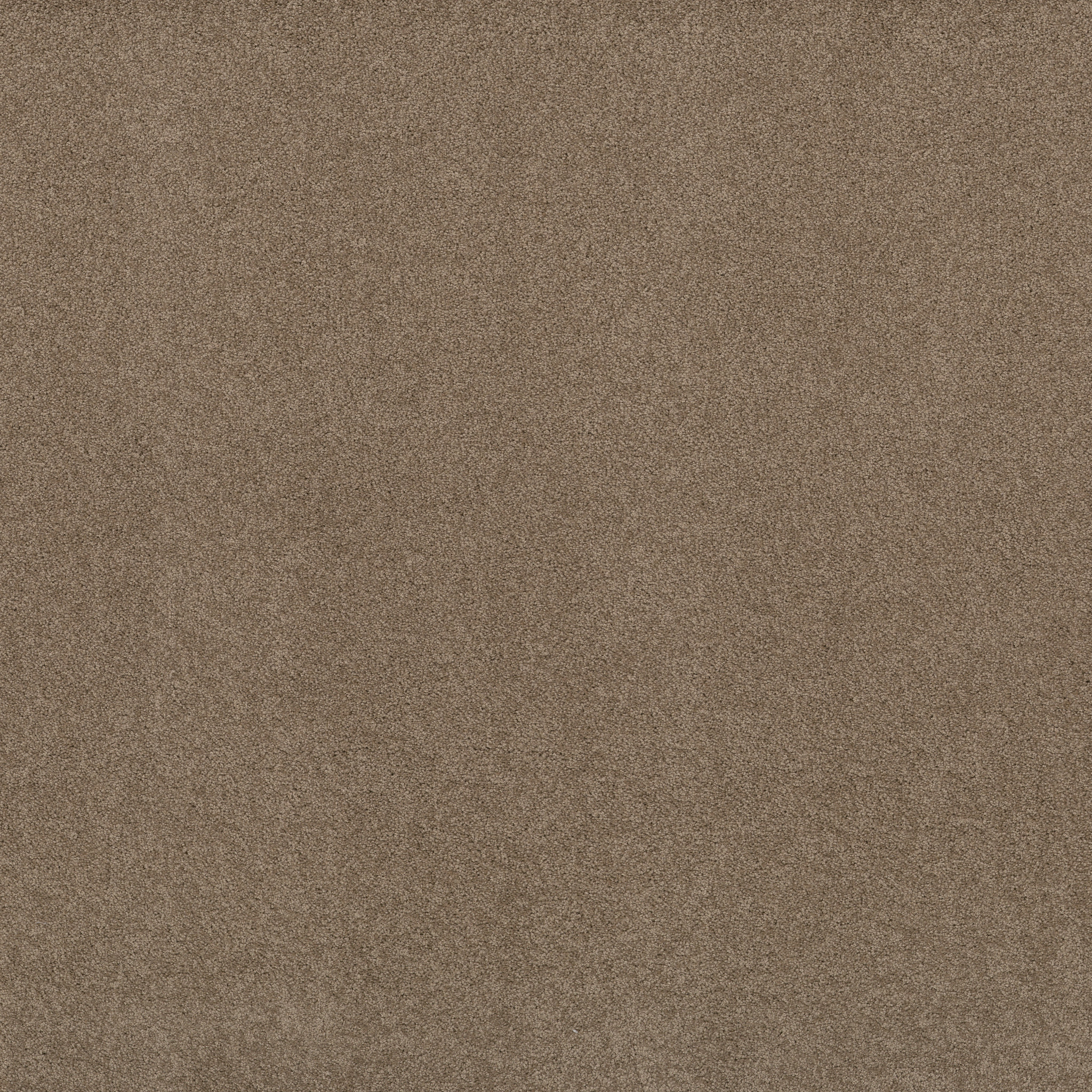 KEEN SENSES II GROUNDED MAIN