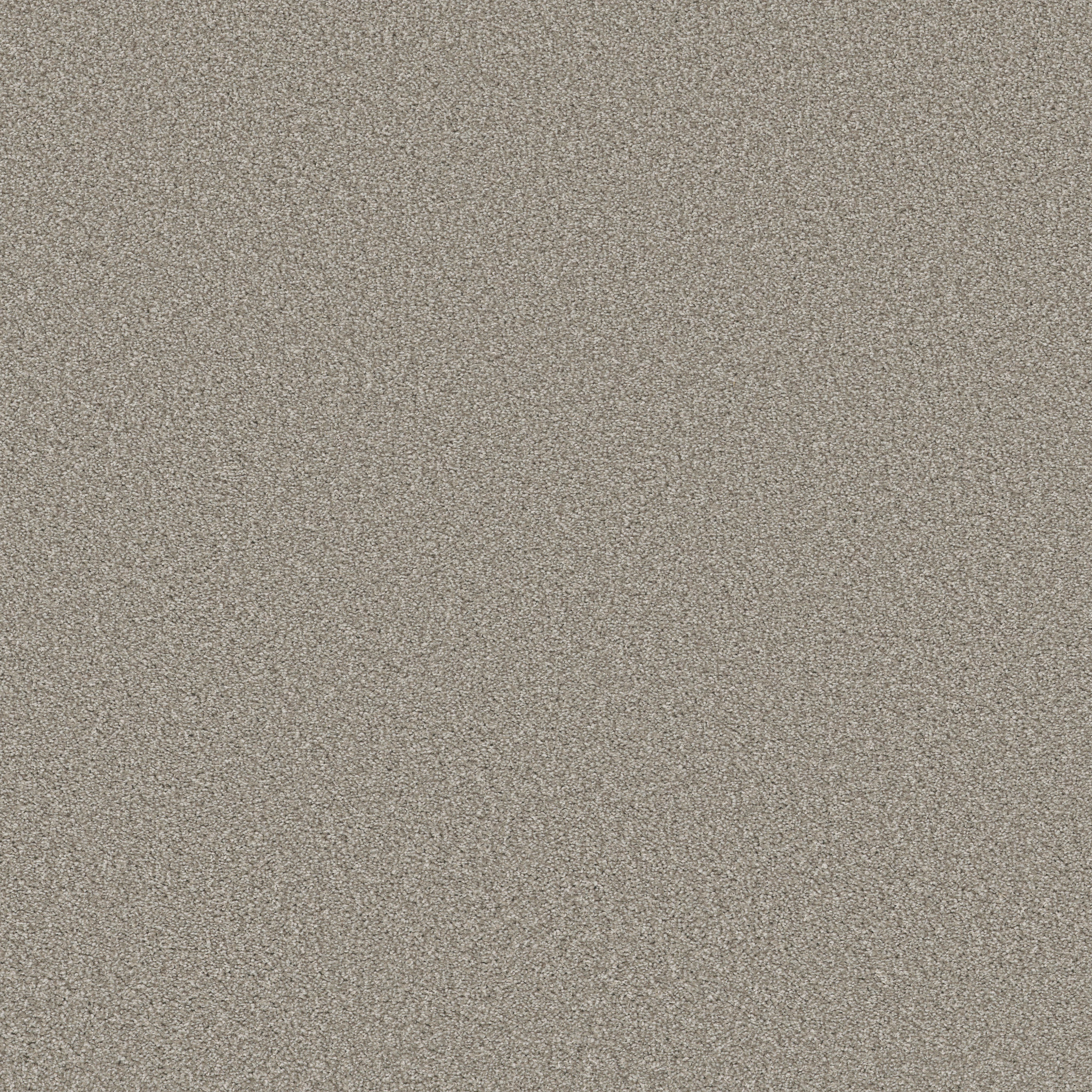 TRUSOLUTIONS II STONE PATH MAIN