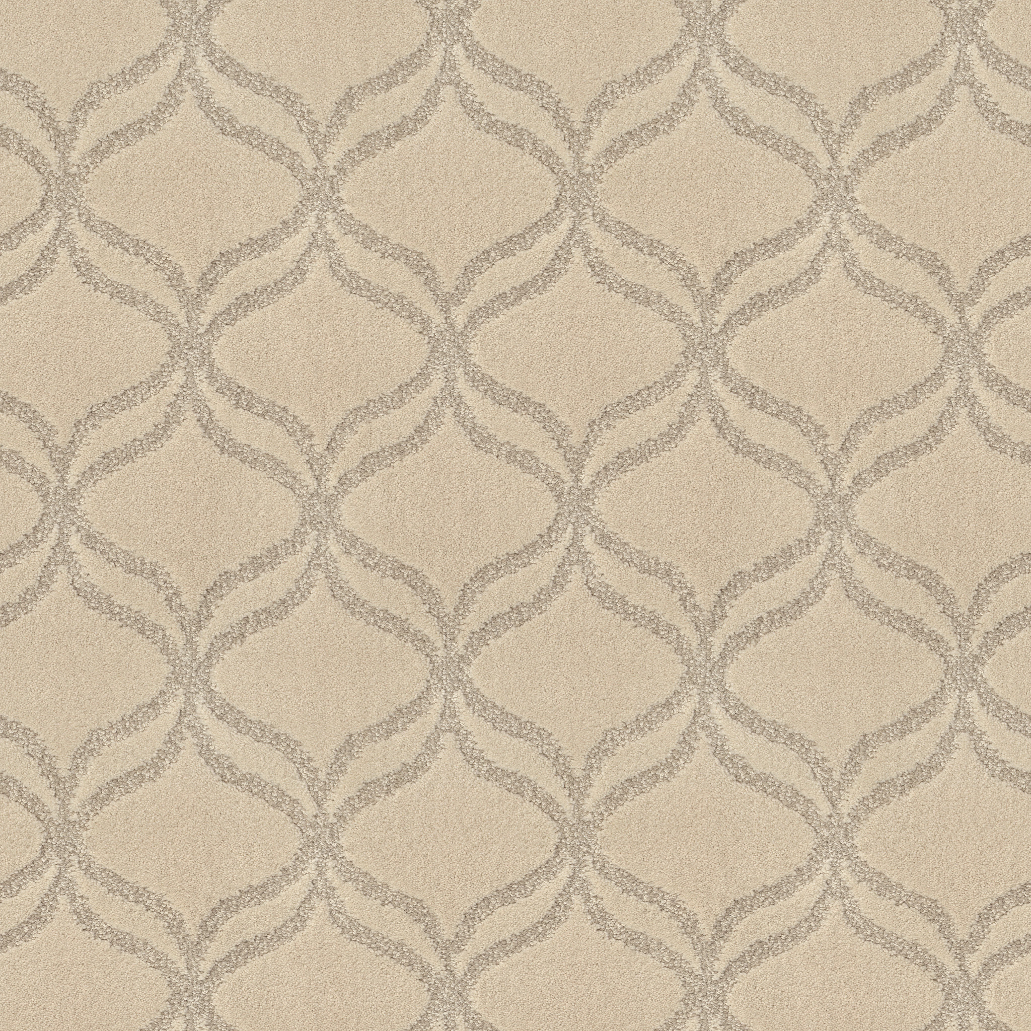 APPRECIATION SOFT FLEECE MAIN