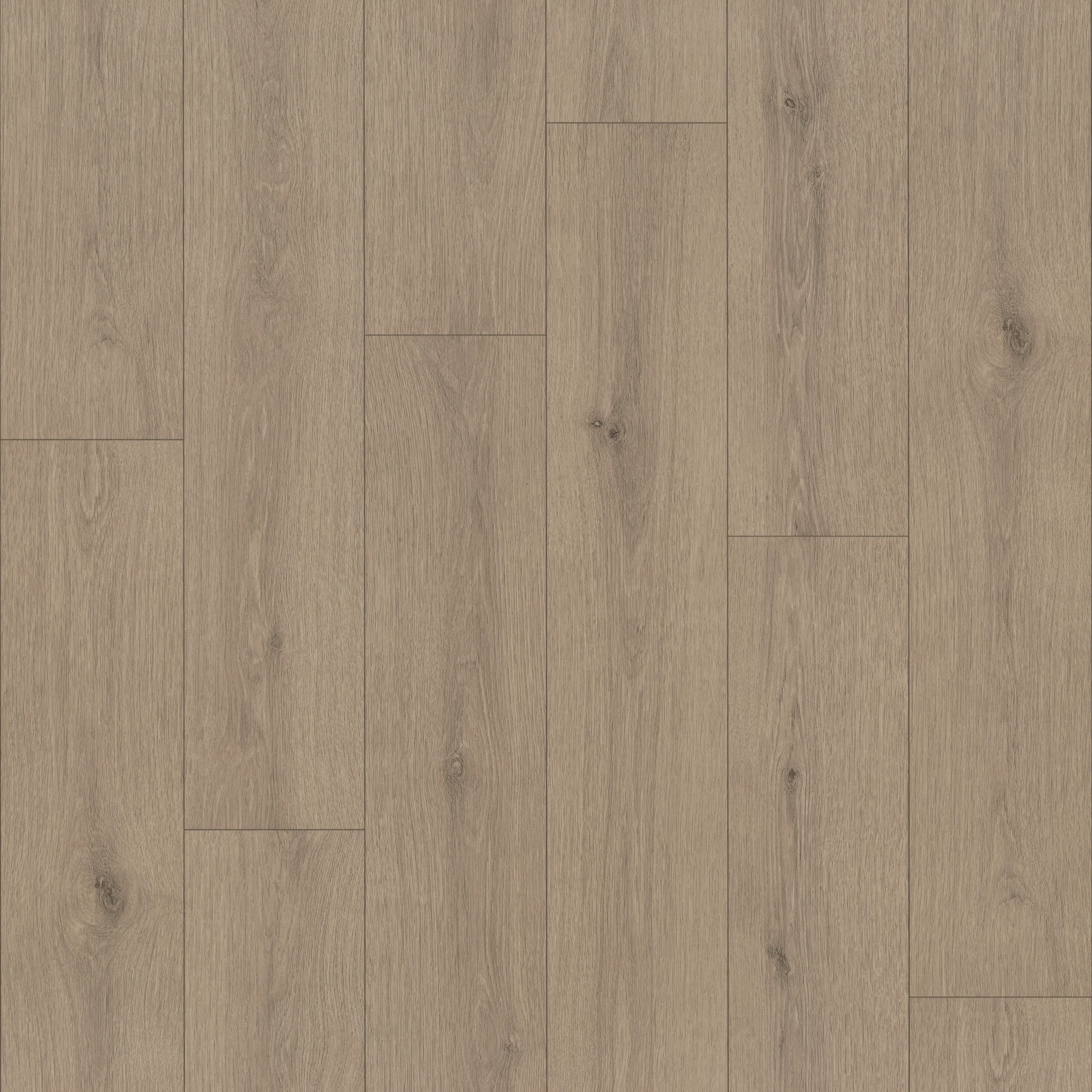 INDWELL-II-SHEET-5726V-HAZELWOOD-07312-main-image