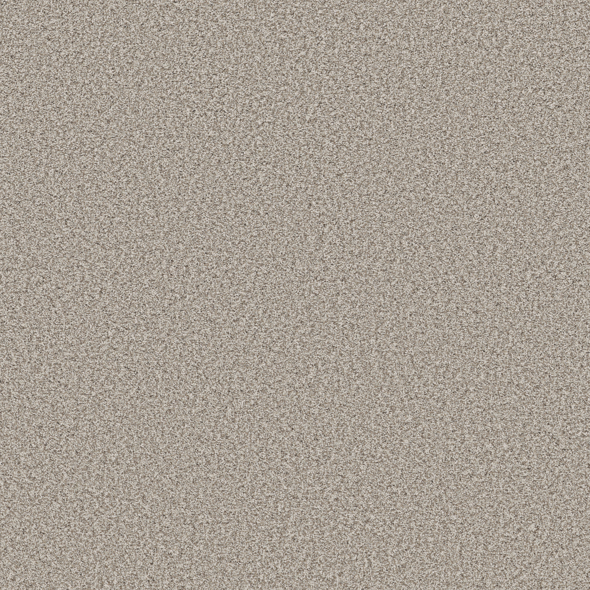 PRESCOTT VALLEY PLATINUM MAIN