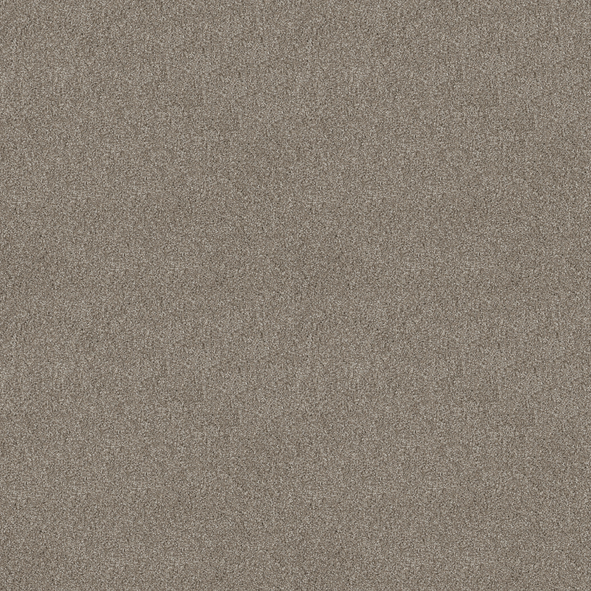 MAJORITY RULES COCOA MAIN