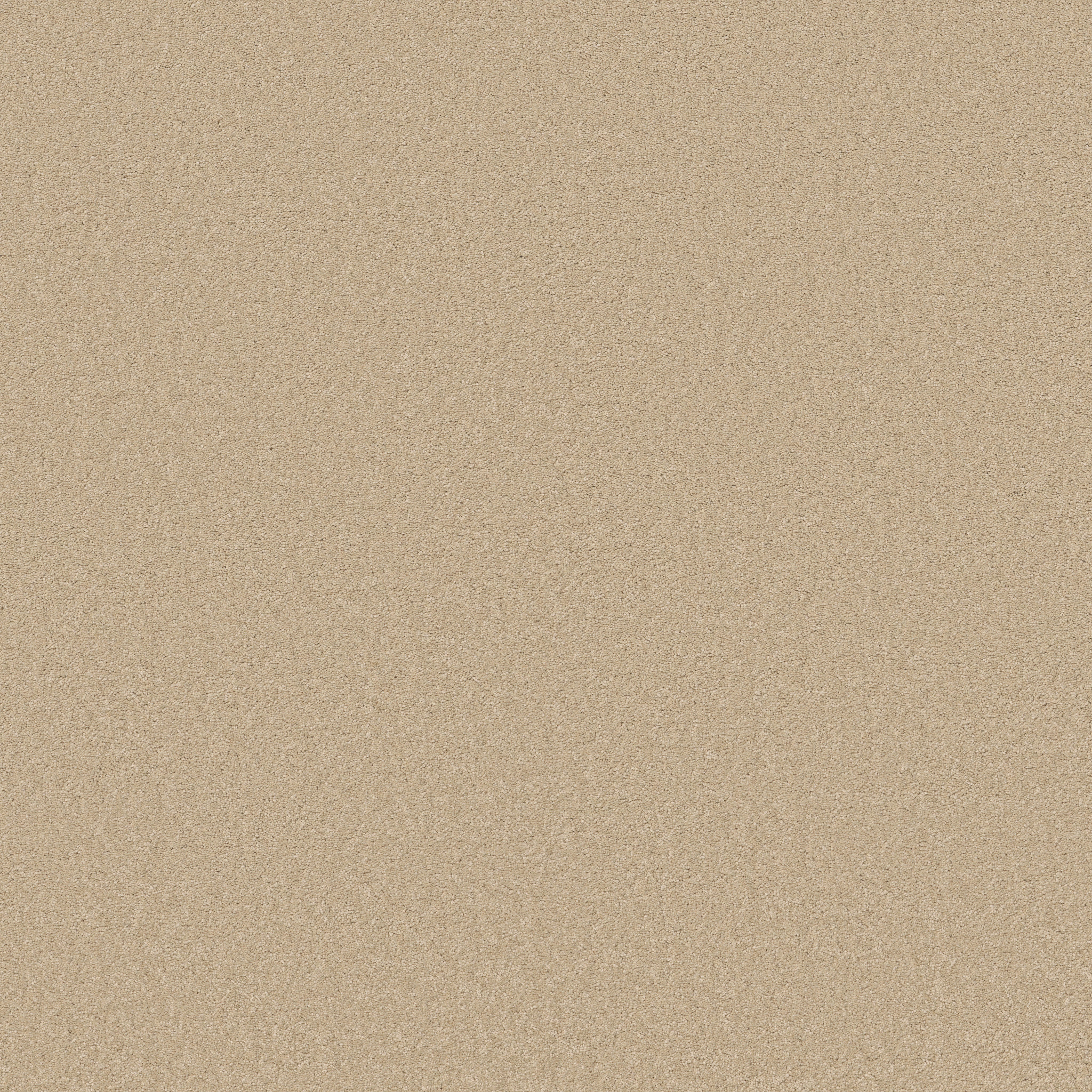 ELEGANT BEAUTY PAPYRUS MAIN