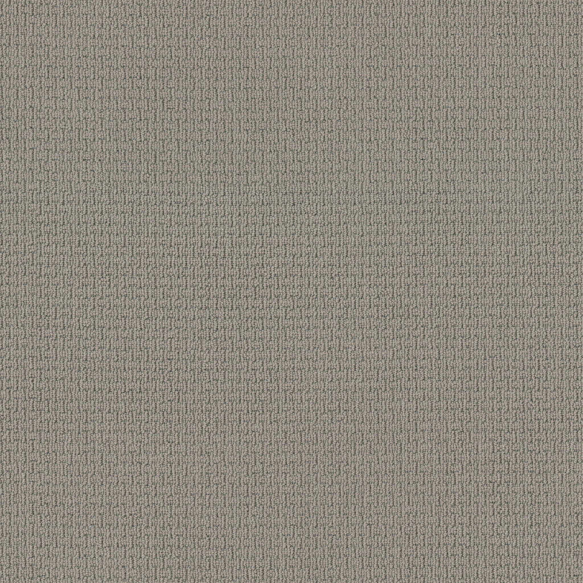 SAN SALVADOR GRAY WHISPER MAIN