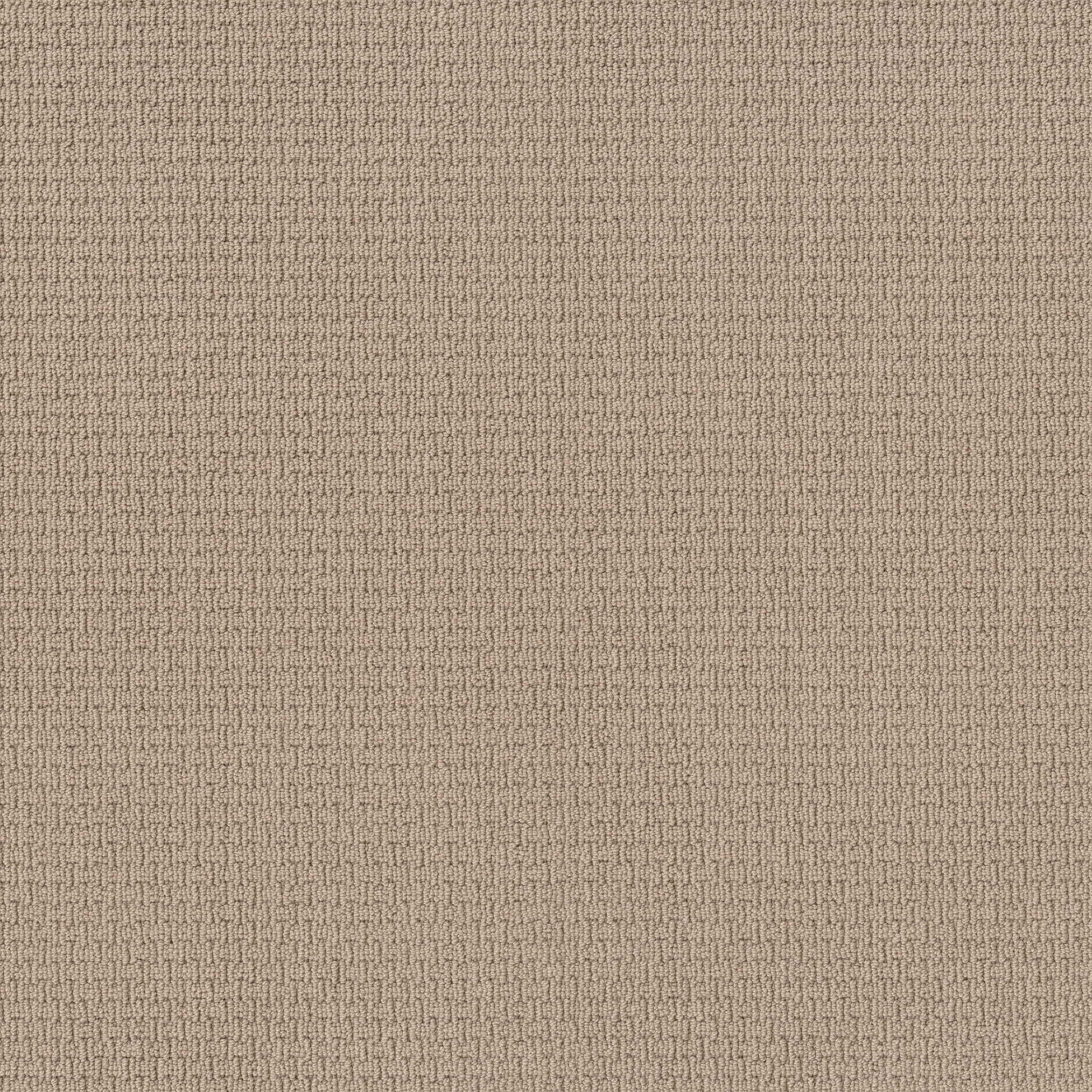Casual Life - 100% ANSO® Nylon in Ceramic Glaze | AndersonTuftex