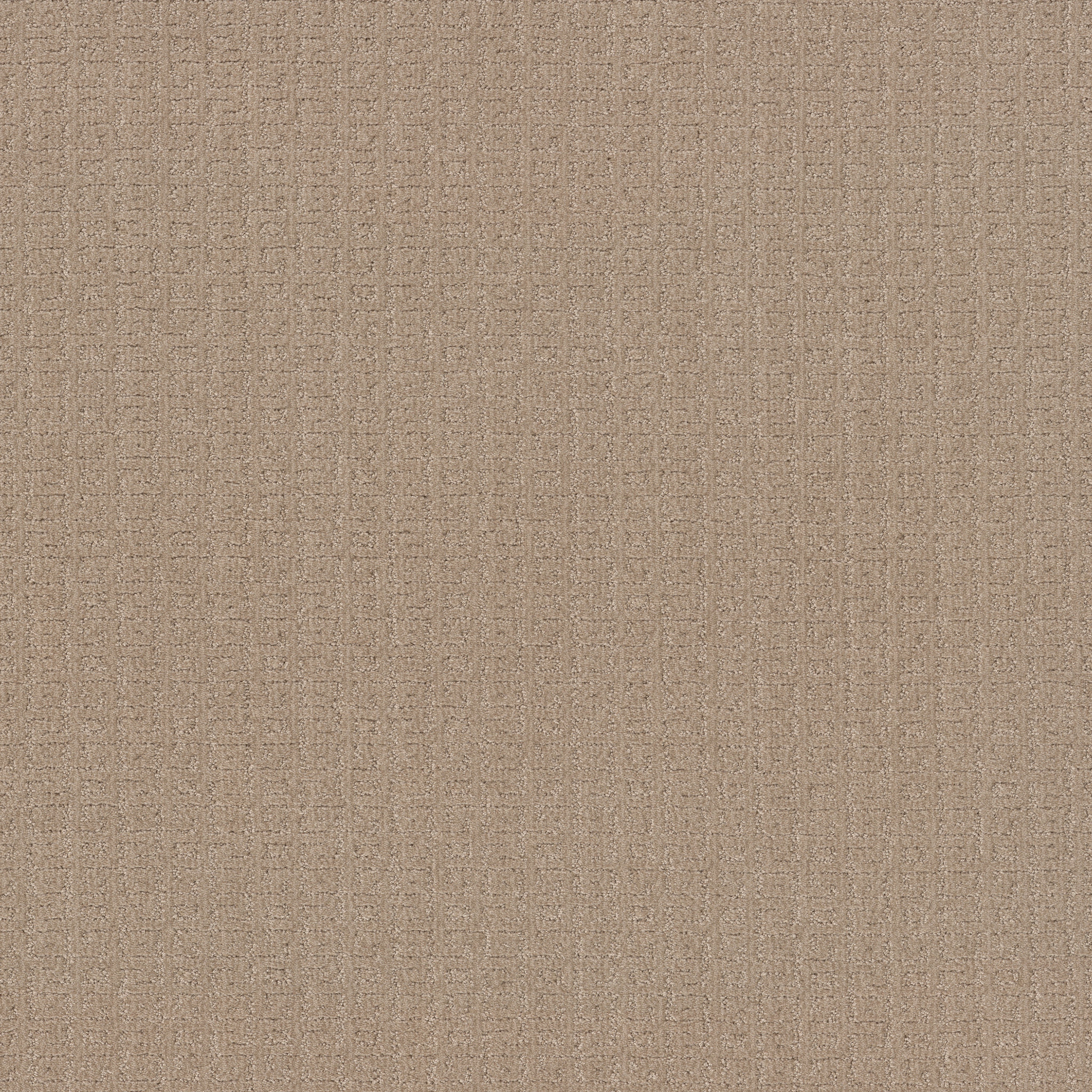 VIGNETTE PACIFIC BLUFF MAIN