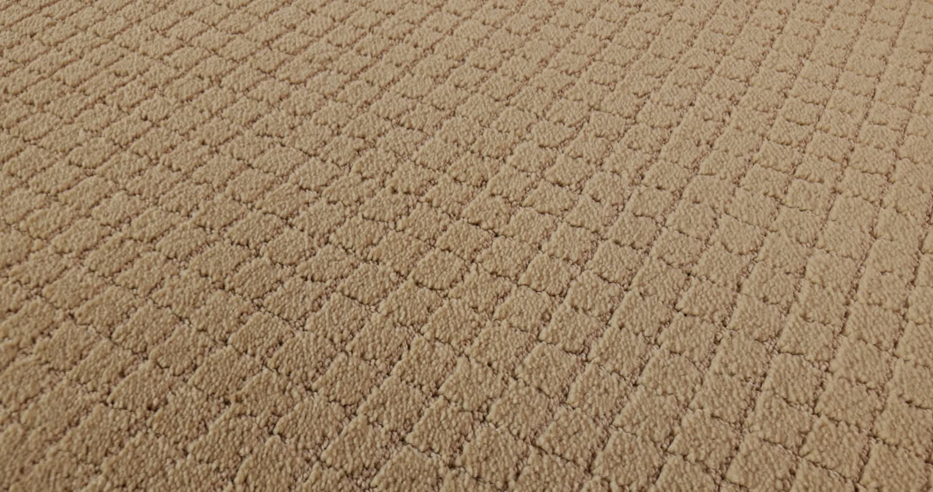 PAWNACHE CORK 360PROD