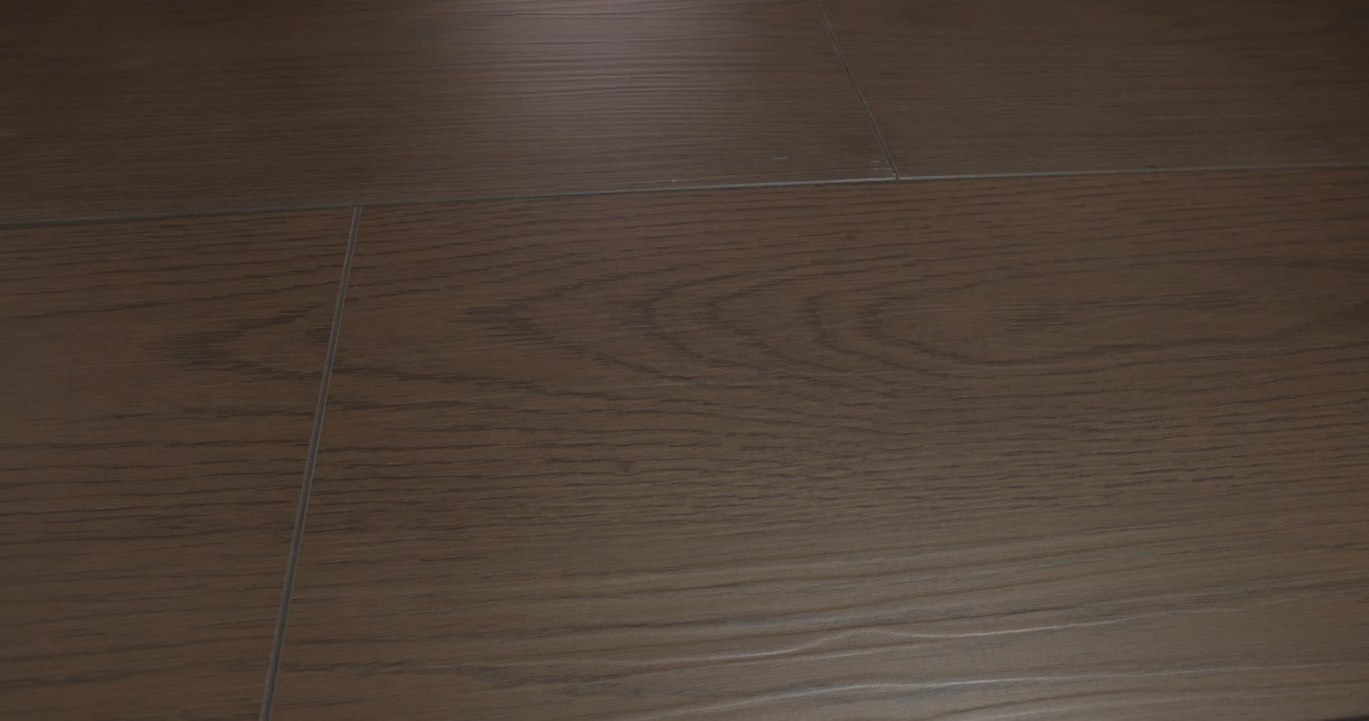 NORTHERN VOYAGE 9 RUTHERFORD 360PROD