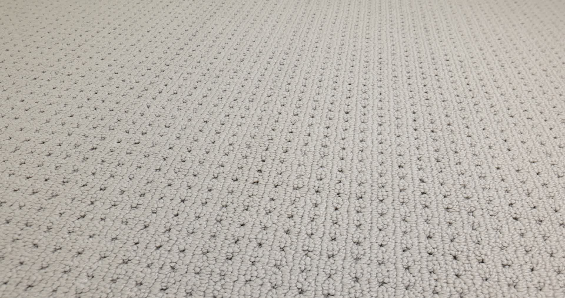 SAN LUCAS HUSKIE 360PROD