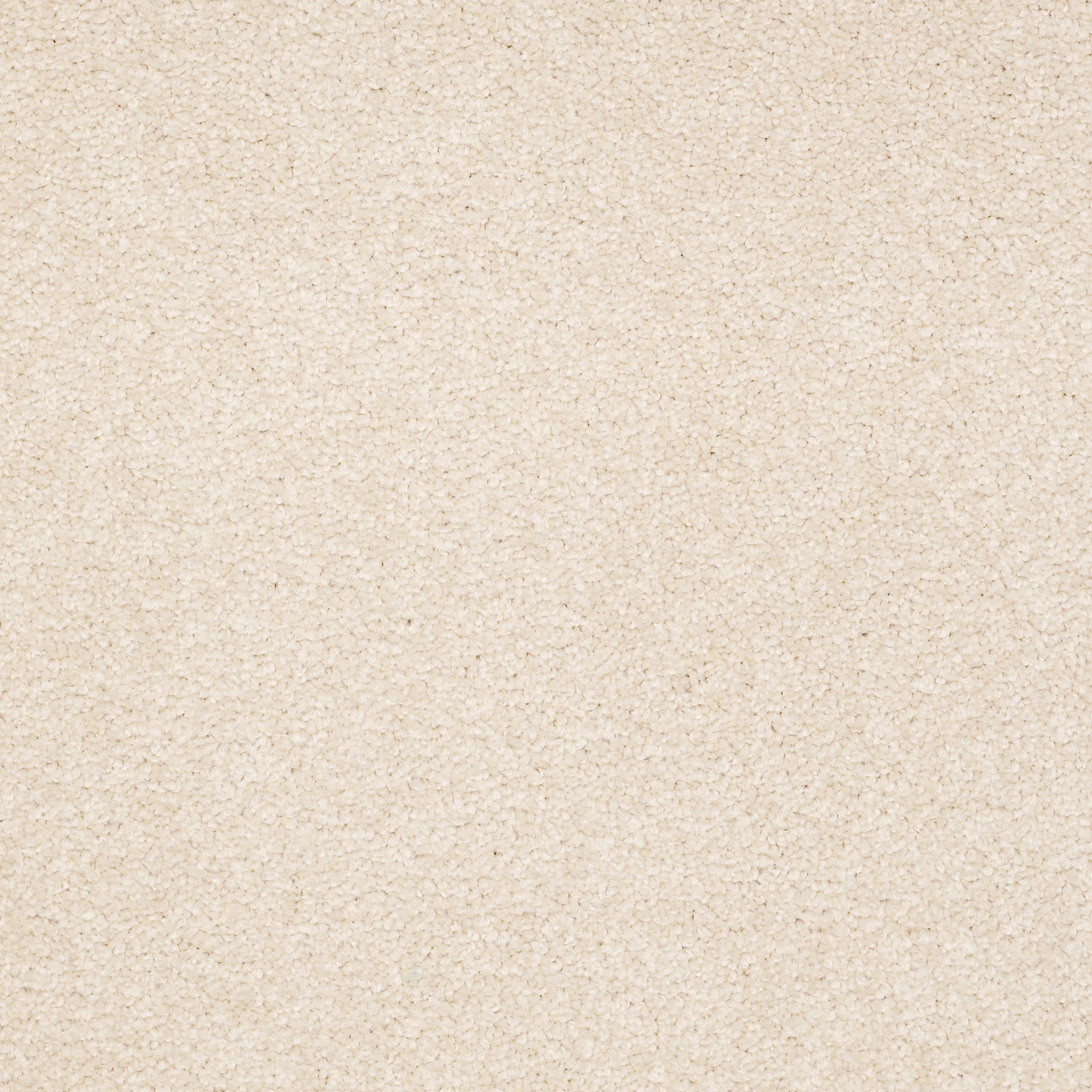 SOPHISTICATION 12' ALMOND FLAKE MAIN