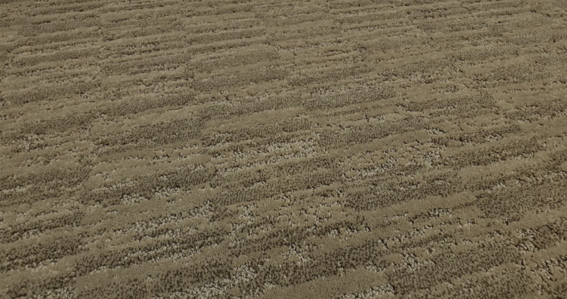 TRACE BOARDWALK 360PROD