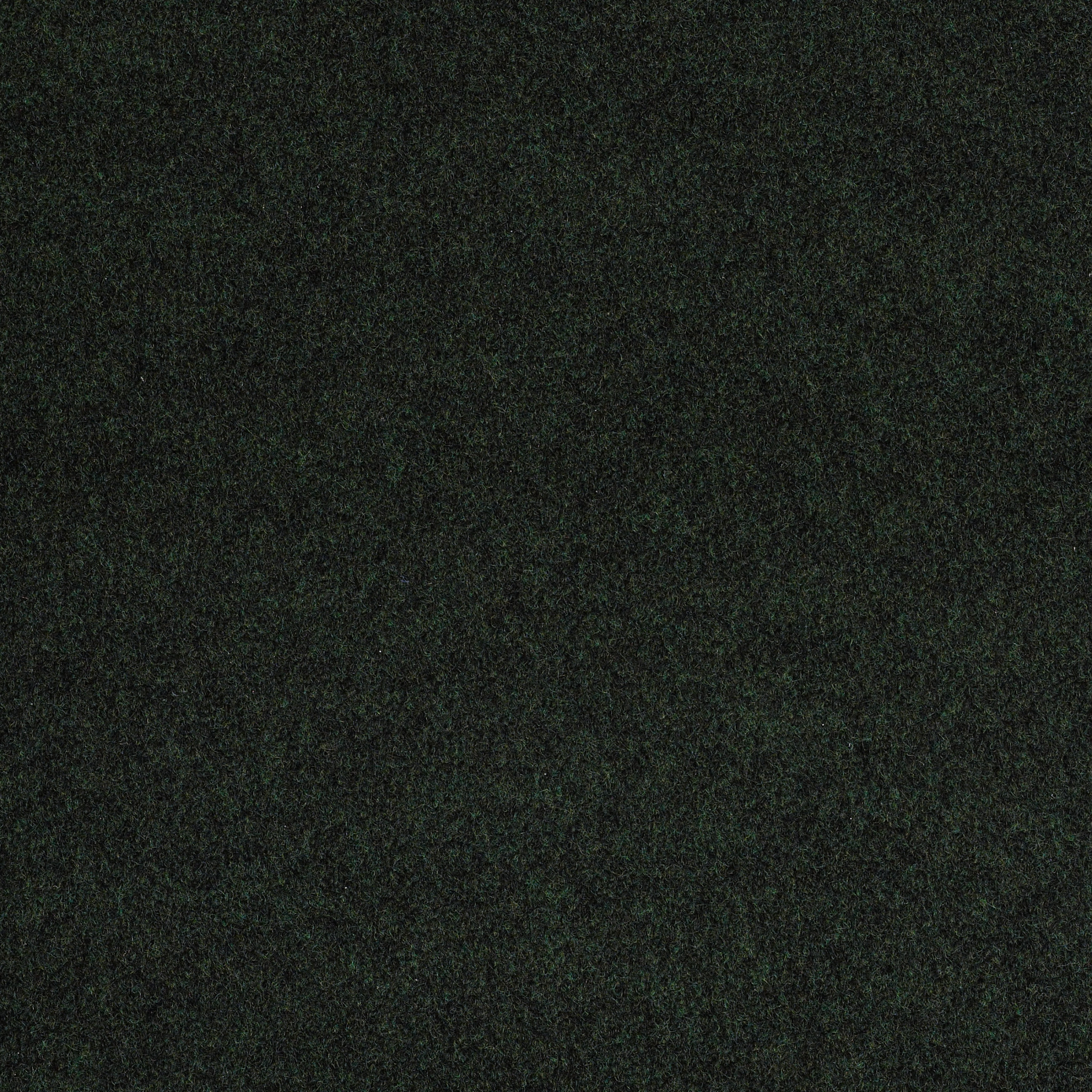 SOFTSCAPE-I-6-54686-FOREST-NIGHT-00300-main-image