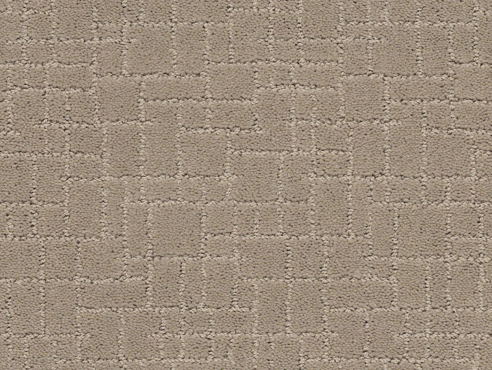 FAUX PAW MOCHA CREAM MAIN