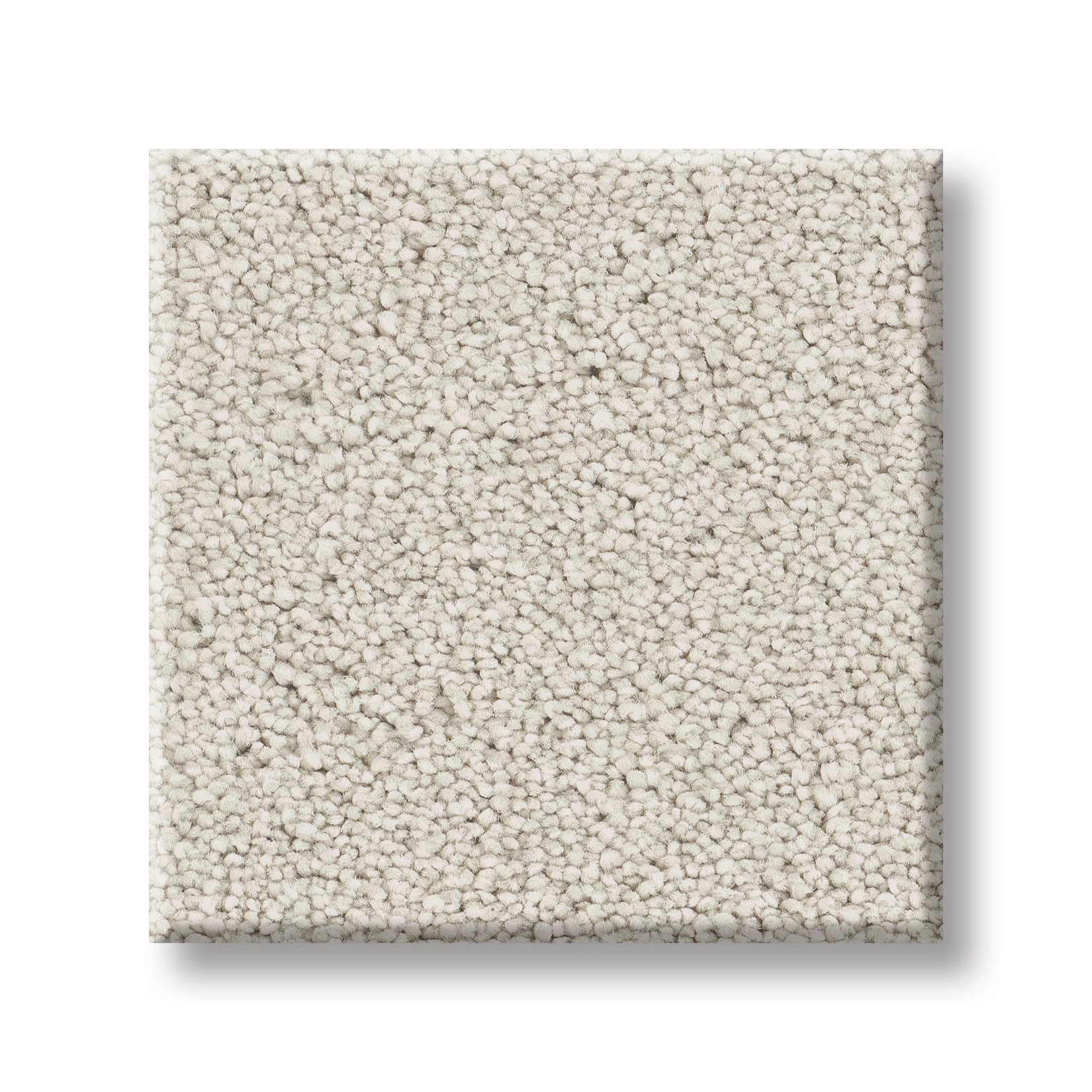 CLASSIC TONE MINIMALIST SWATCH