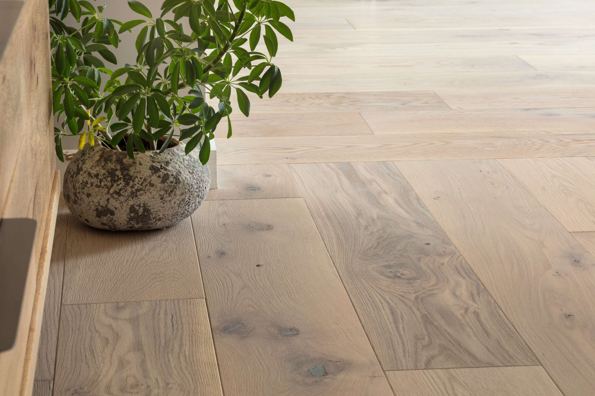 KENSINGTON HOLLAND PARK StaticImage02