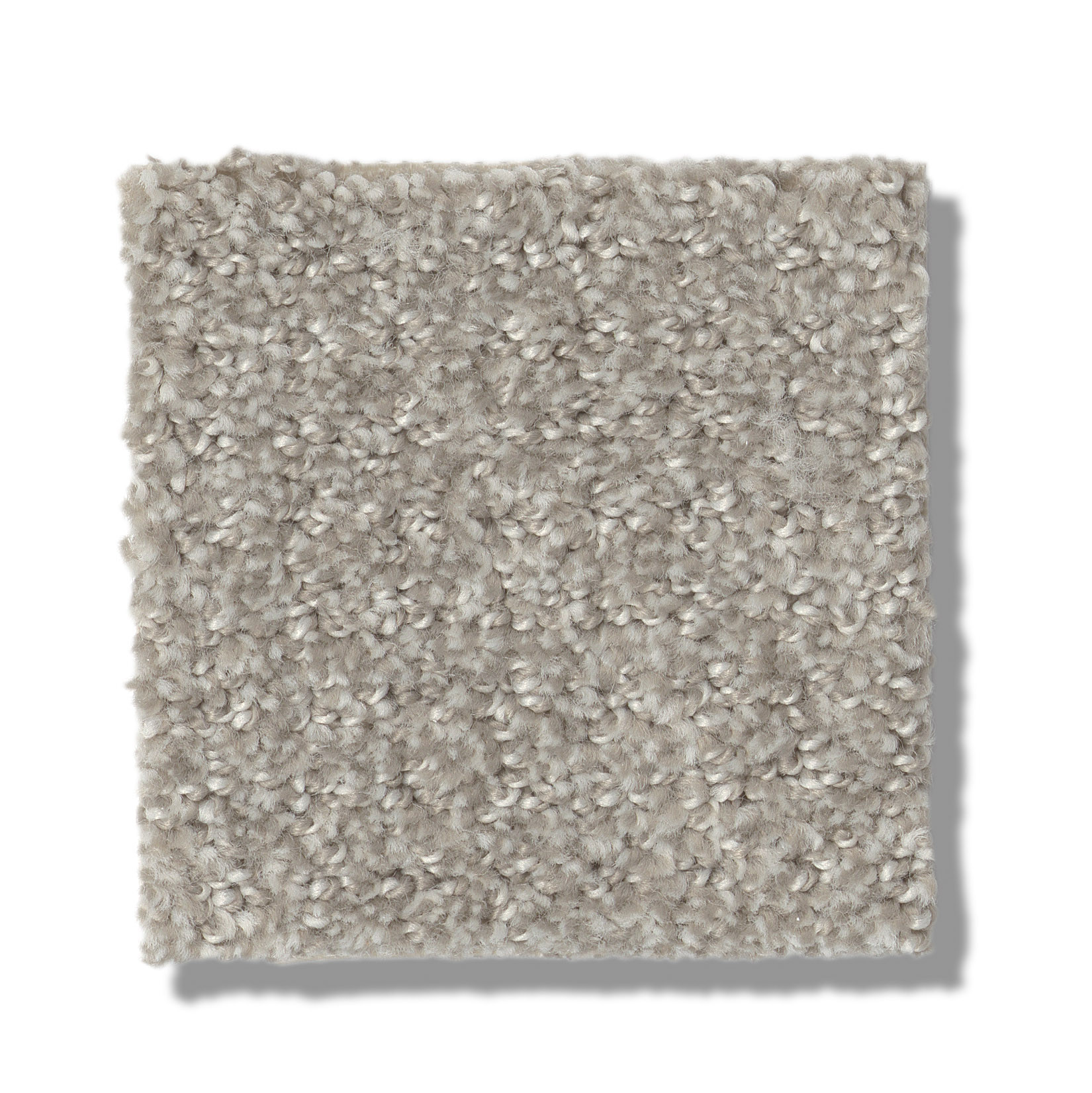 TRANSLATE FOSSIL SWATCH