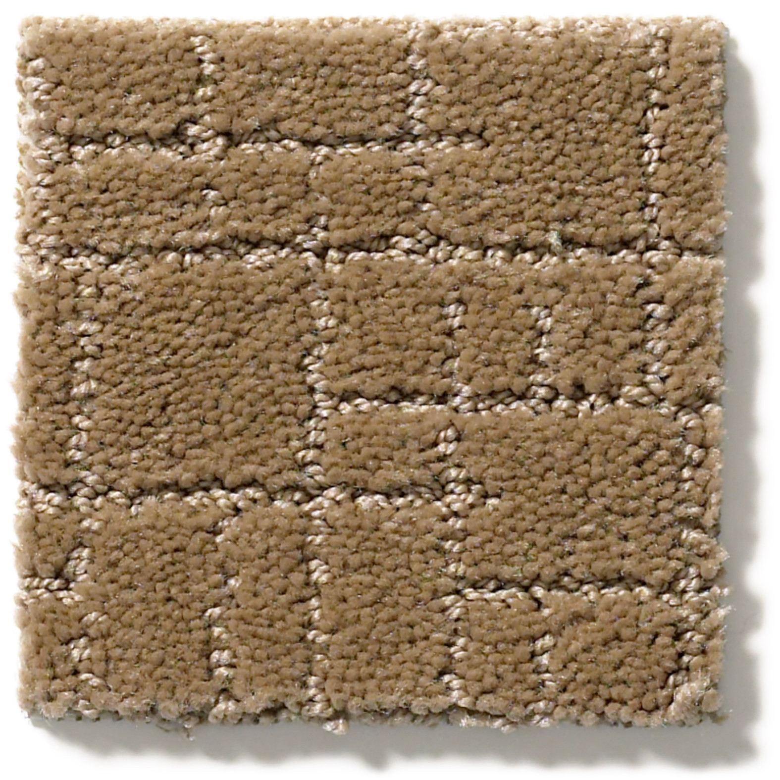 FAUX PAW PEANUT SHELL SWATCH