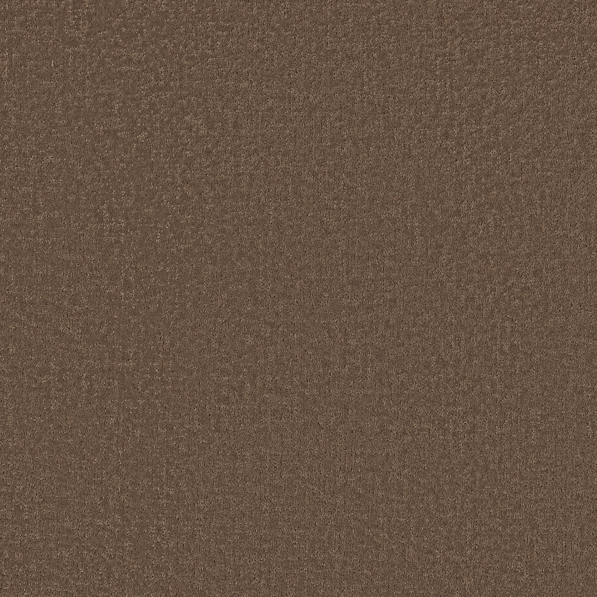 REFINED CANVAS CLIFF HIKING MAIN