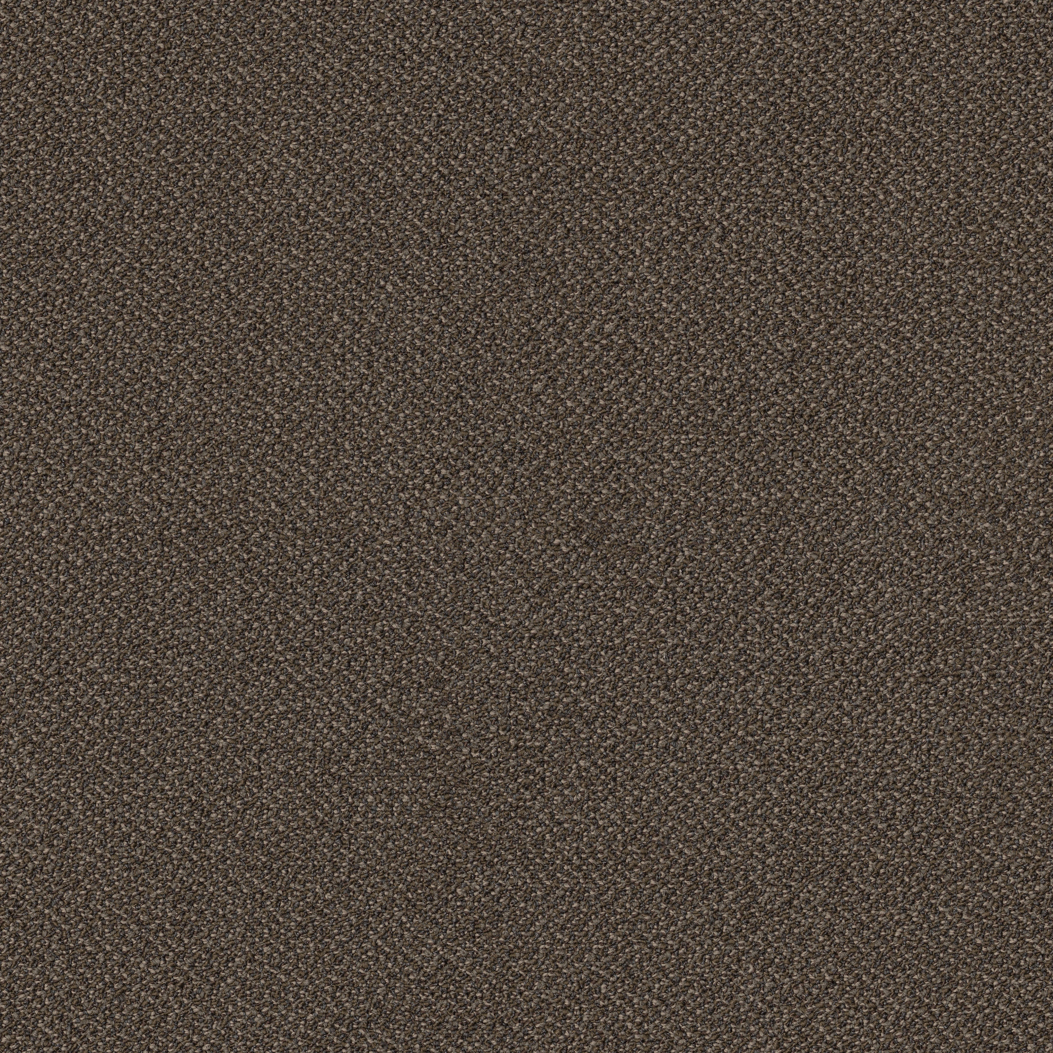 SMALL-WONDER-54984-FASCINATE-84708-main-image