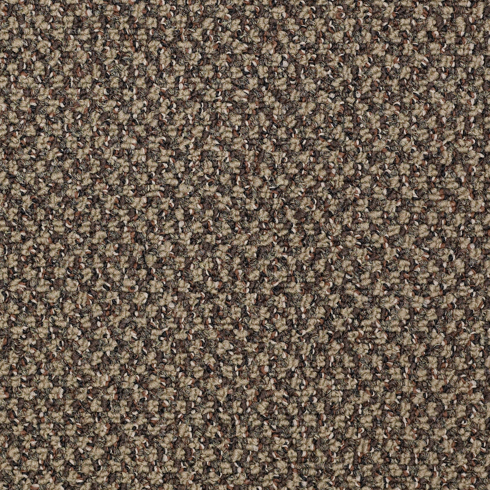 NEW-BASICS-54793-HOT-ORDER-93701-main-image