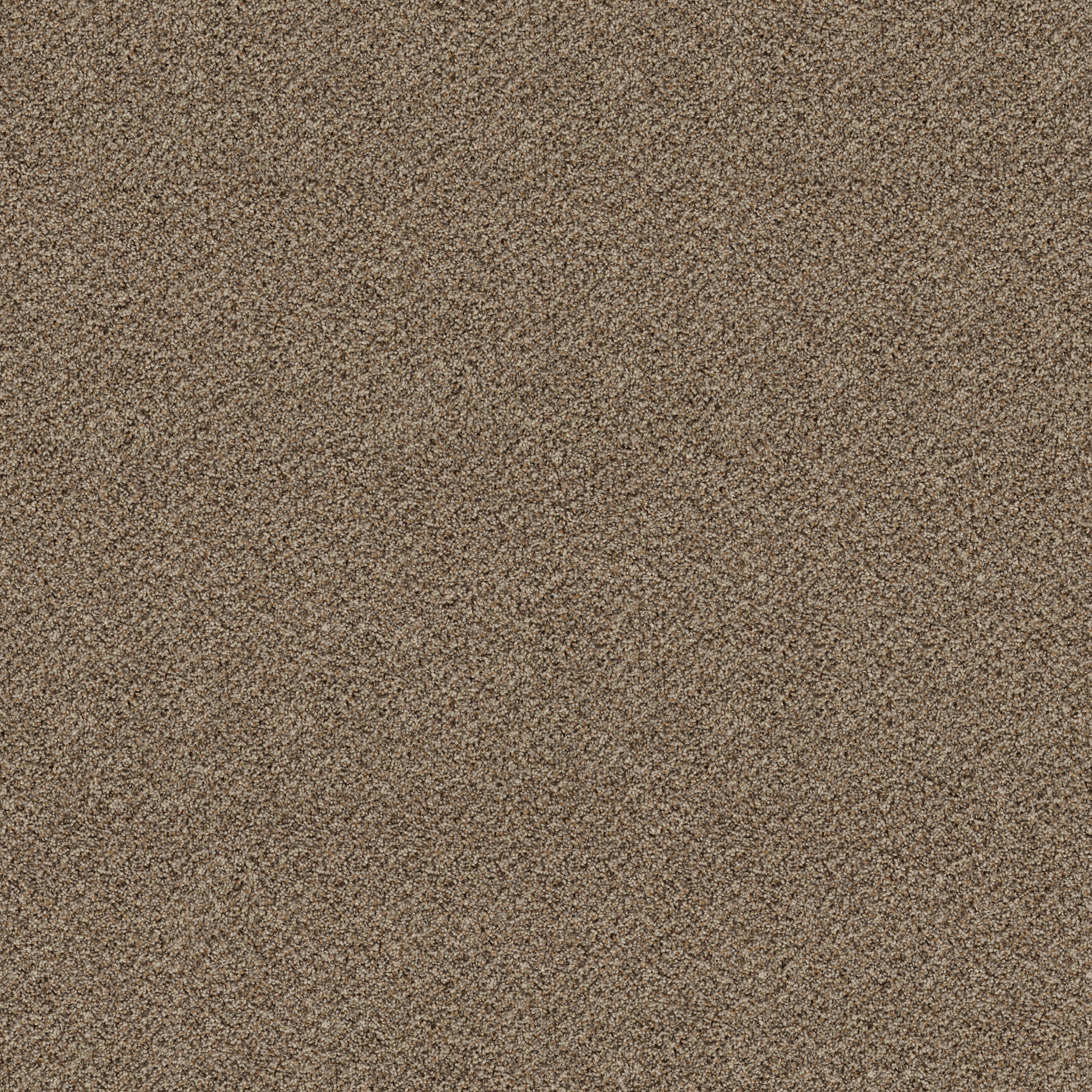 BREAK FREE STUDIO MAIN