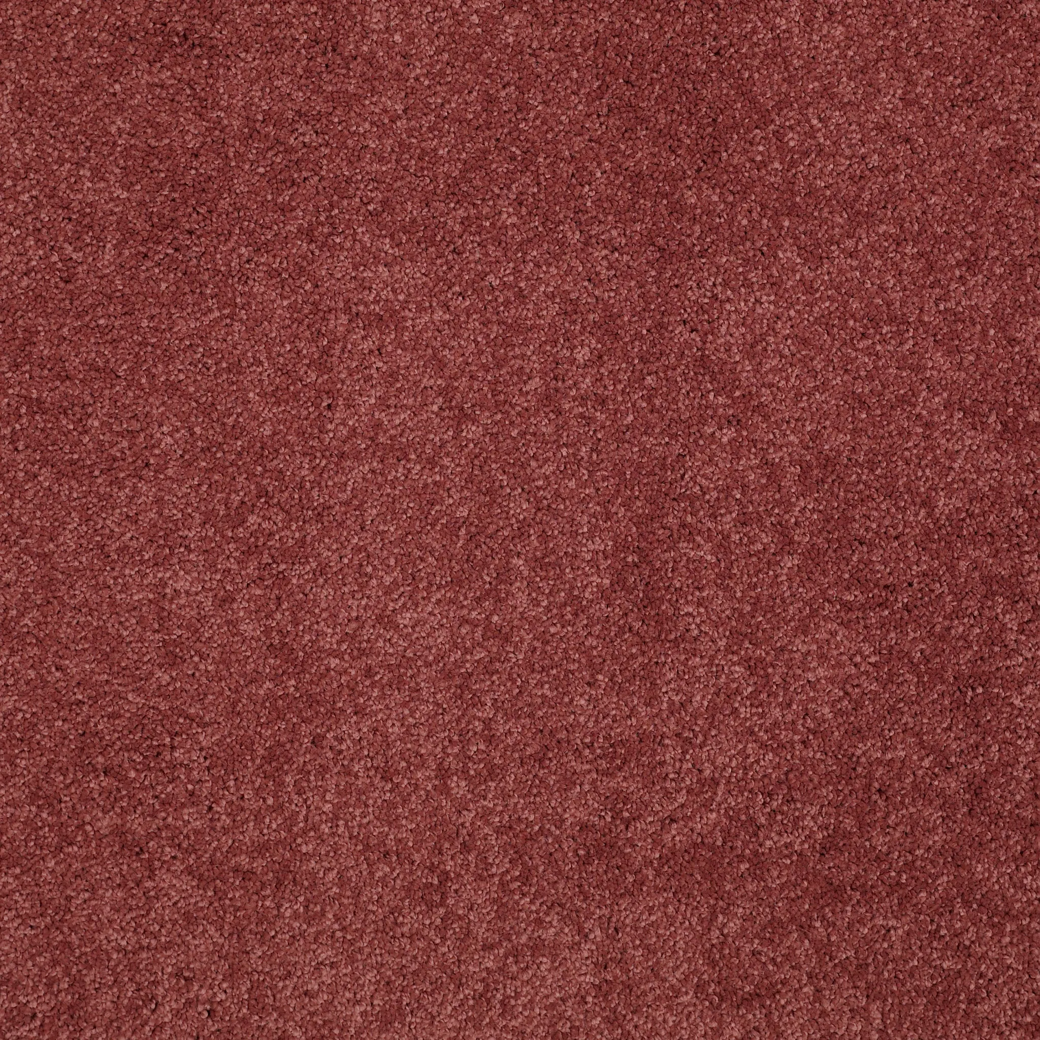 Rich burgundy carpet swatch showcasing plush texture and homely comfort