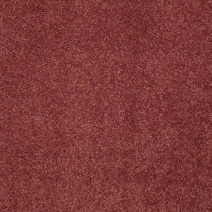 Burgundy Carpet - Plush and Comfortable Flooring for Everyday Living Rich burgundy carpet swatch showcasing plush texture and homely comfort