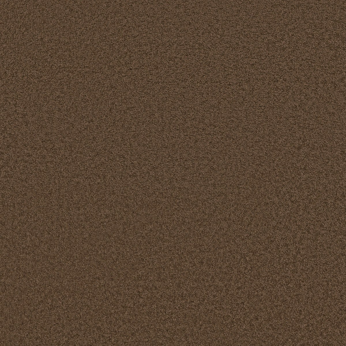 Shaw Floors LOYAL BEAUTY III — APPLE BUTTER