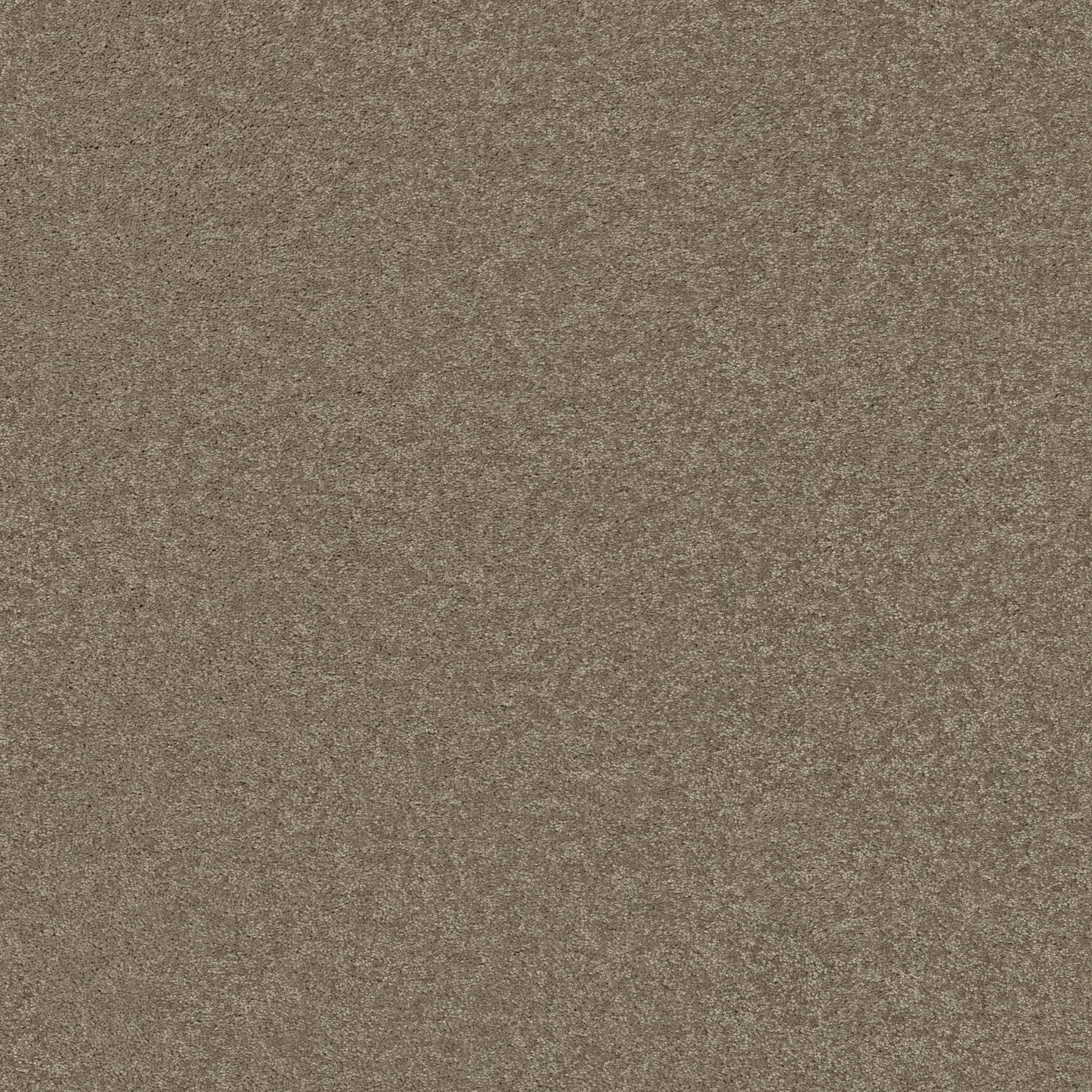 BEAUTIFULLY SIMPLE II 15' WILD RICE MAIN