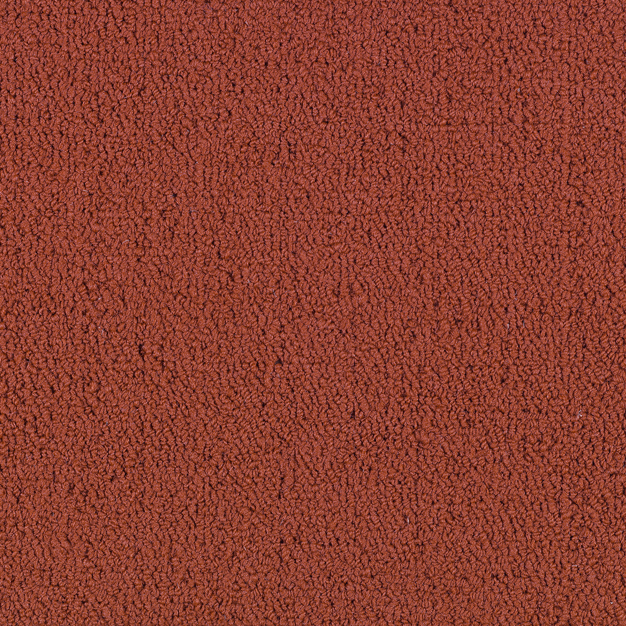 COLOR-ACCENTS-BL-54584-SUNDRIED-62870-main-image