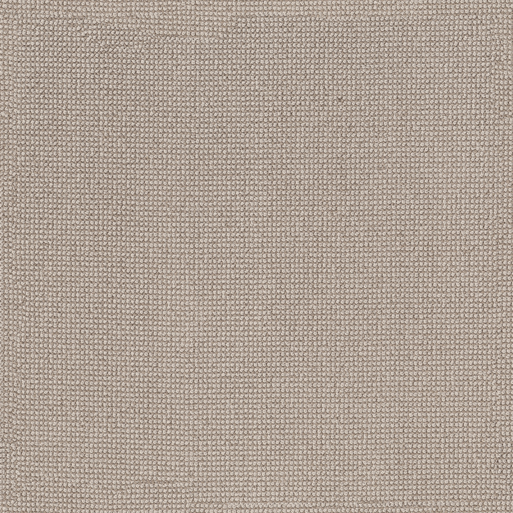 ALLURING CASHMERE MAIN