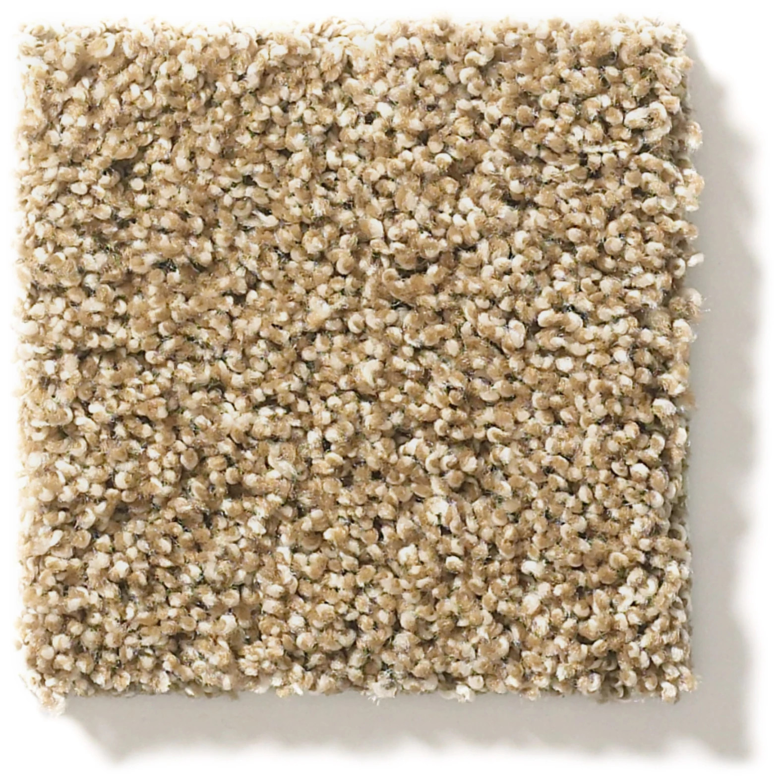 ACROSS THE BAY LODGE SWATCH