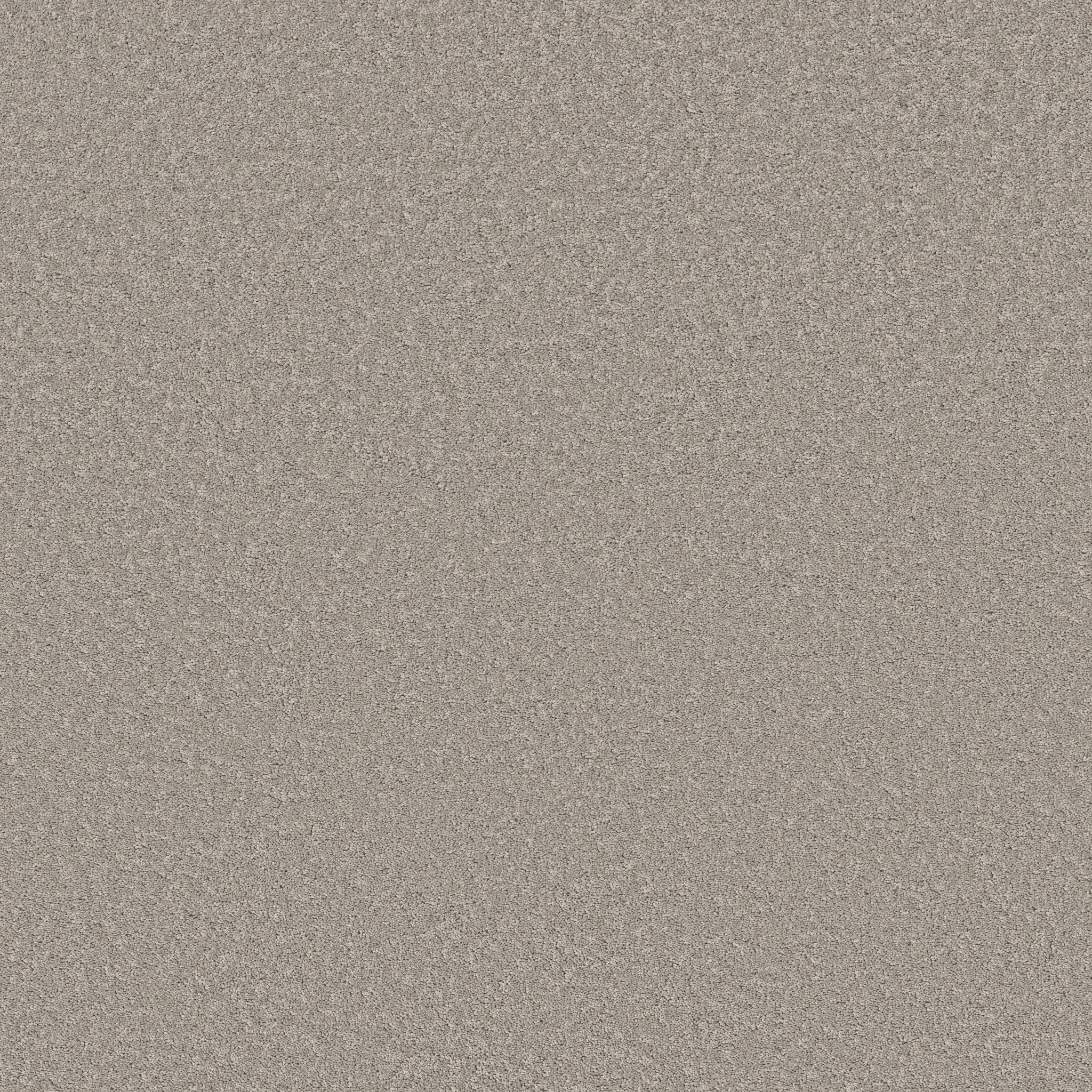 NEW MEMORIES S STILL GRAY MAIN