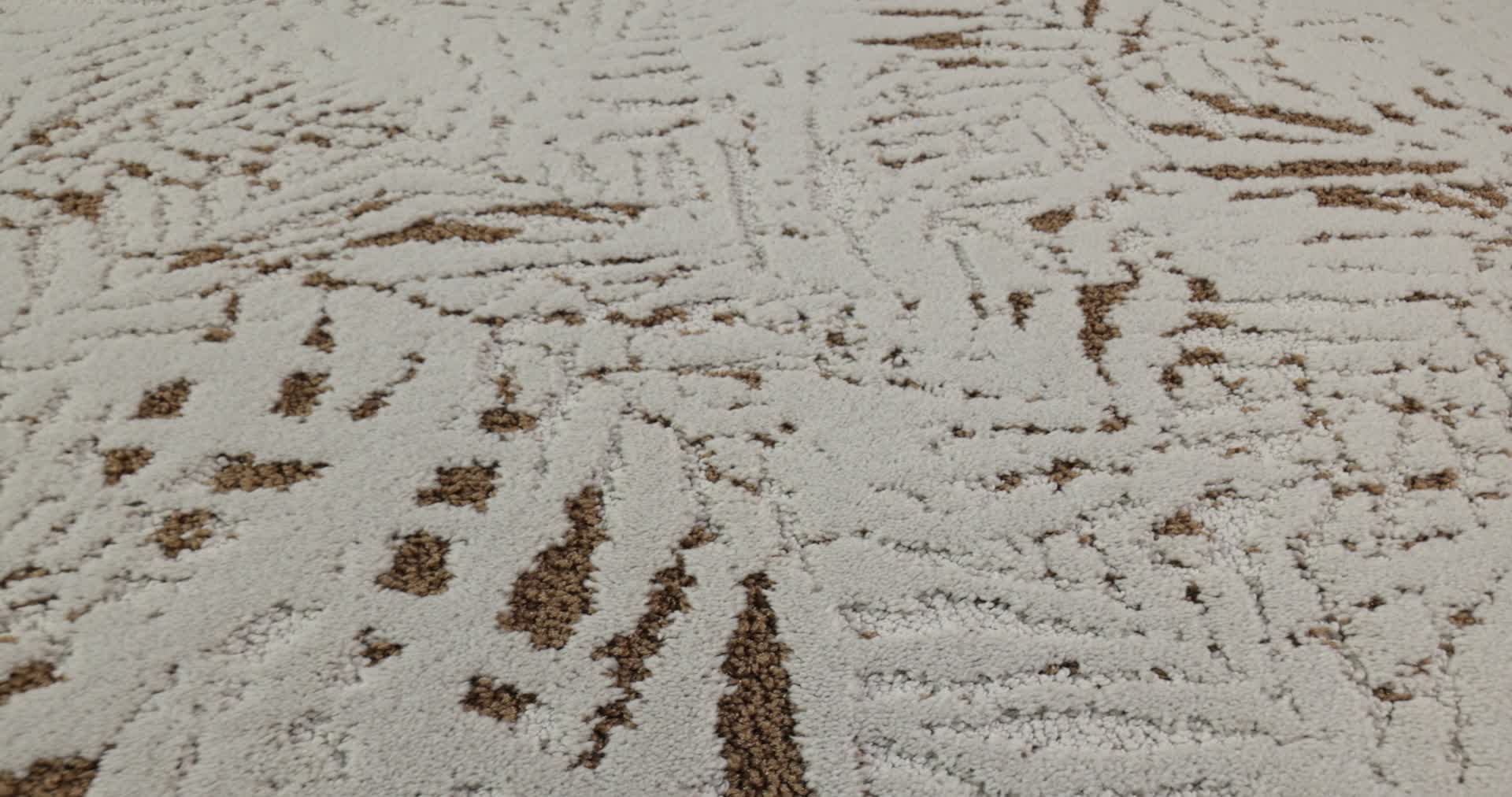 AUTOGRAPH SILVER FOX 360PROD