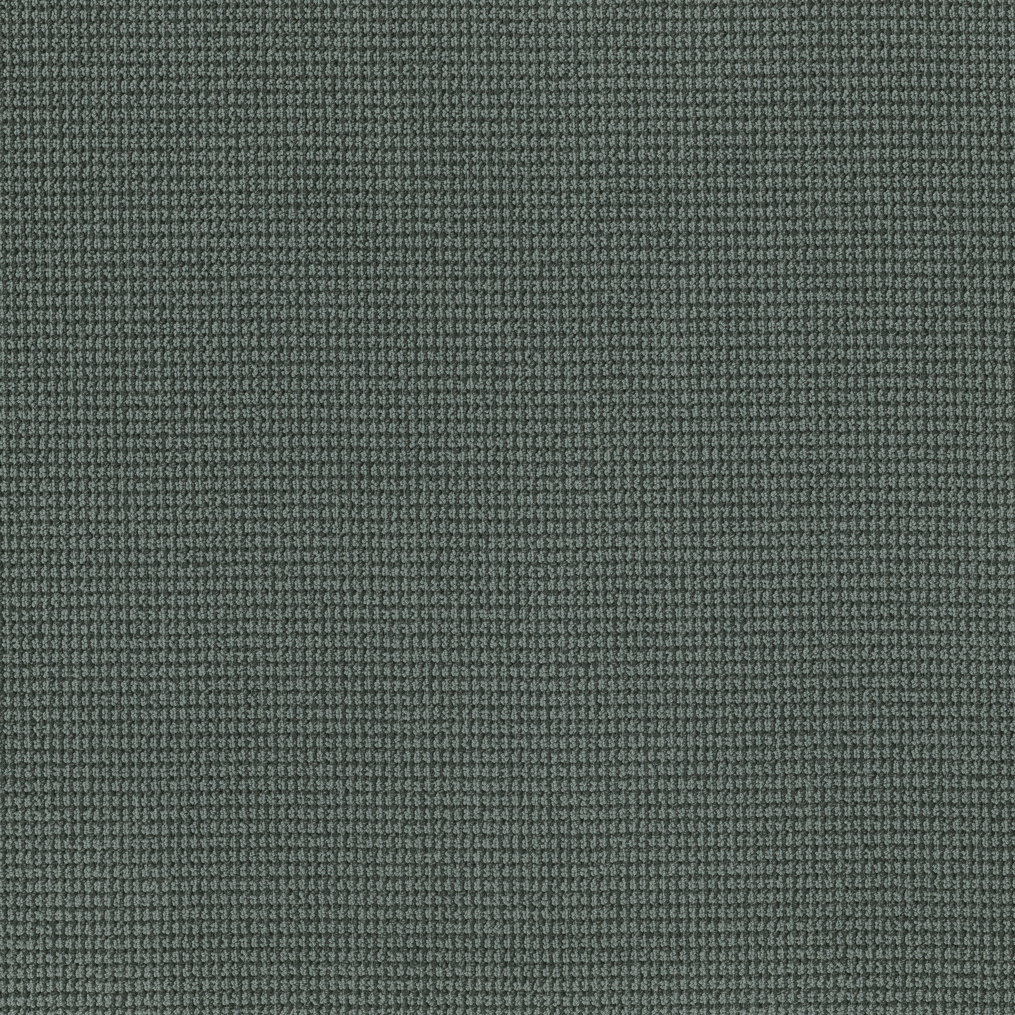 INSPIRED SPRUCE MAIN