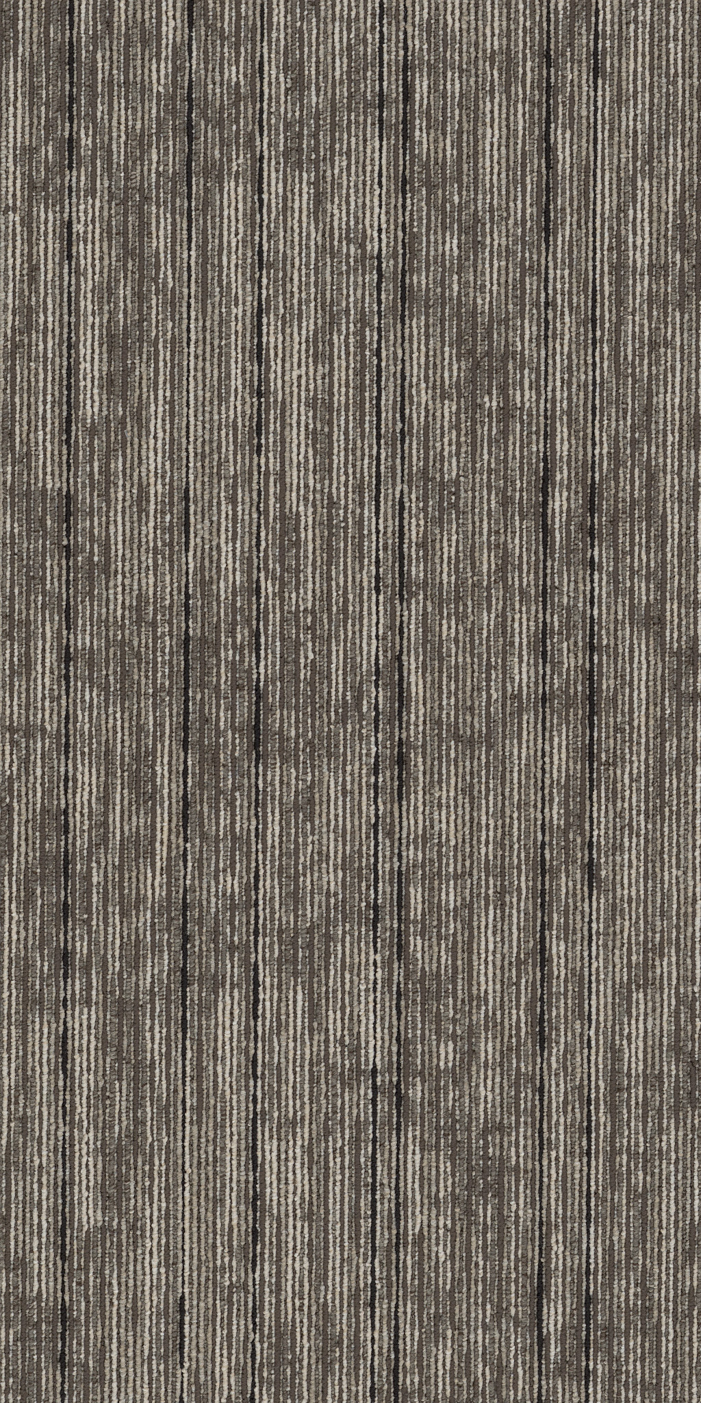 AIM-HIGH-54996-CHAMPION-00105-main-image