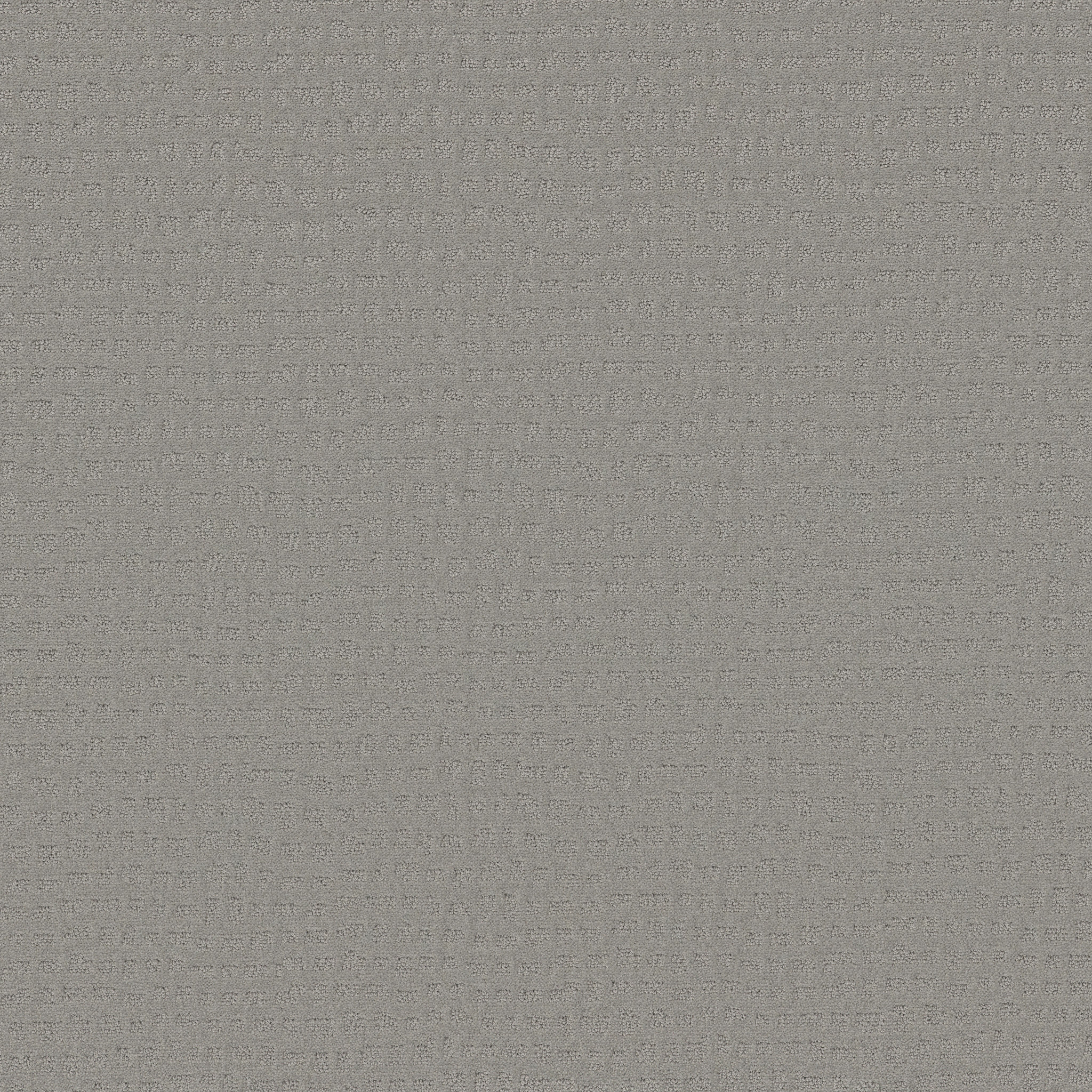 SOLSTICE SILVER FOX MAIN