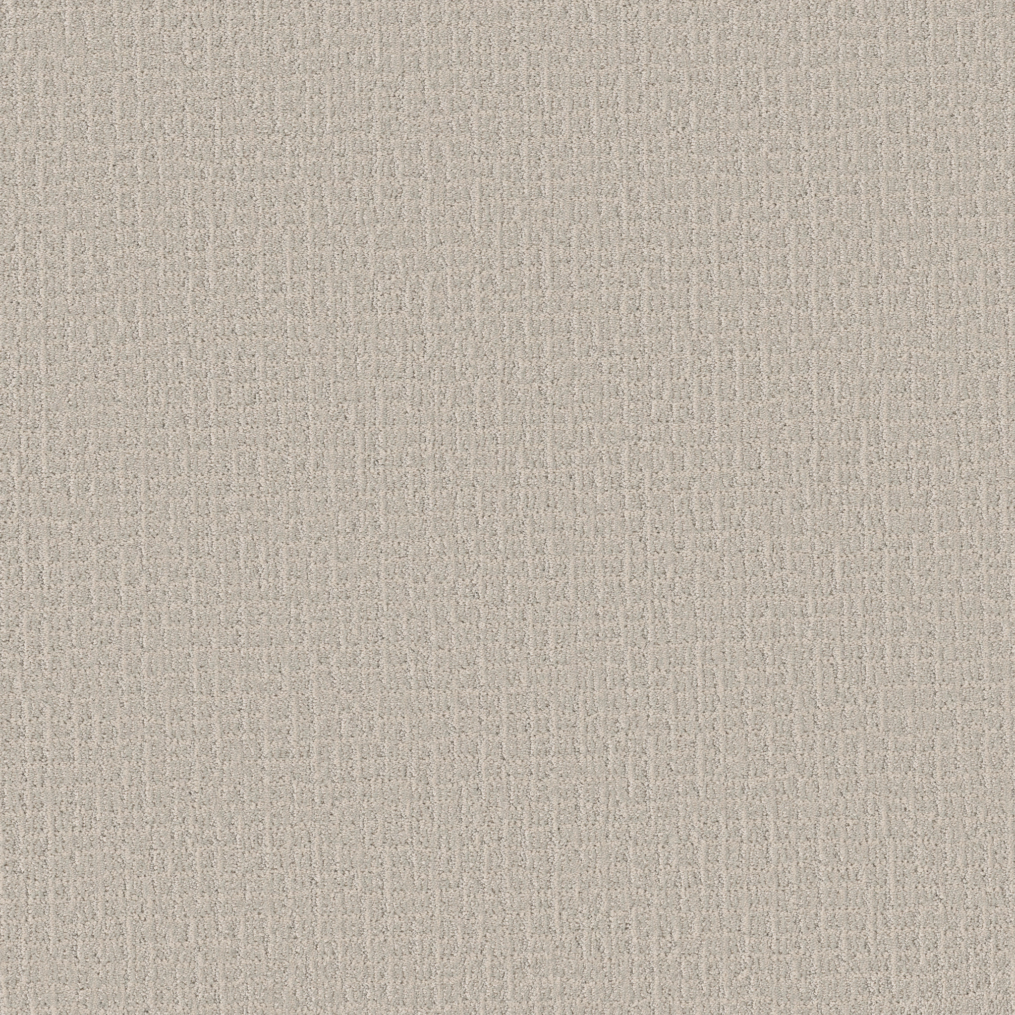 PATH HOME SNOWFALL MAIN