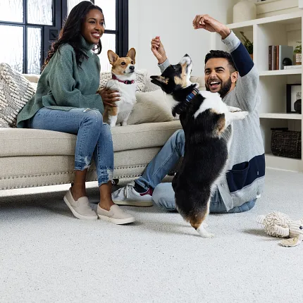 Soft Surface Flooring in a Comfortable Living Room Setting with Pets Cozy living room scene with a couple playing with two dogs on soft surface flooring