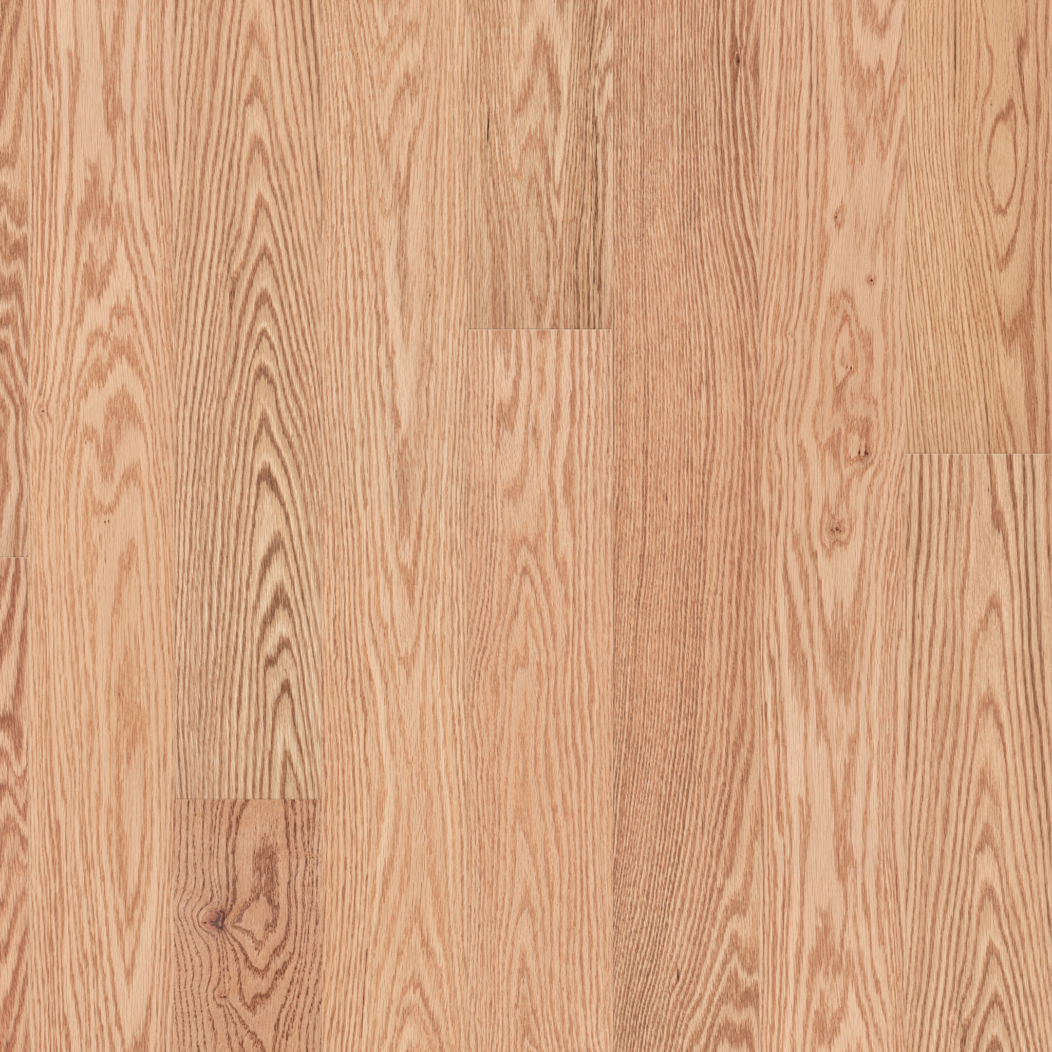 NATURAL CLASSICS RED OAK 5" NATURAL RED OAK MAIN