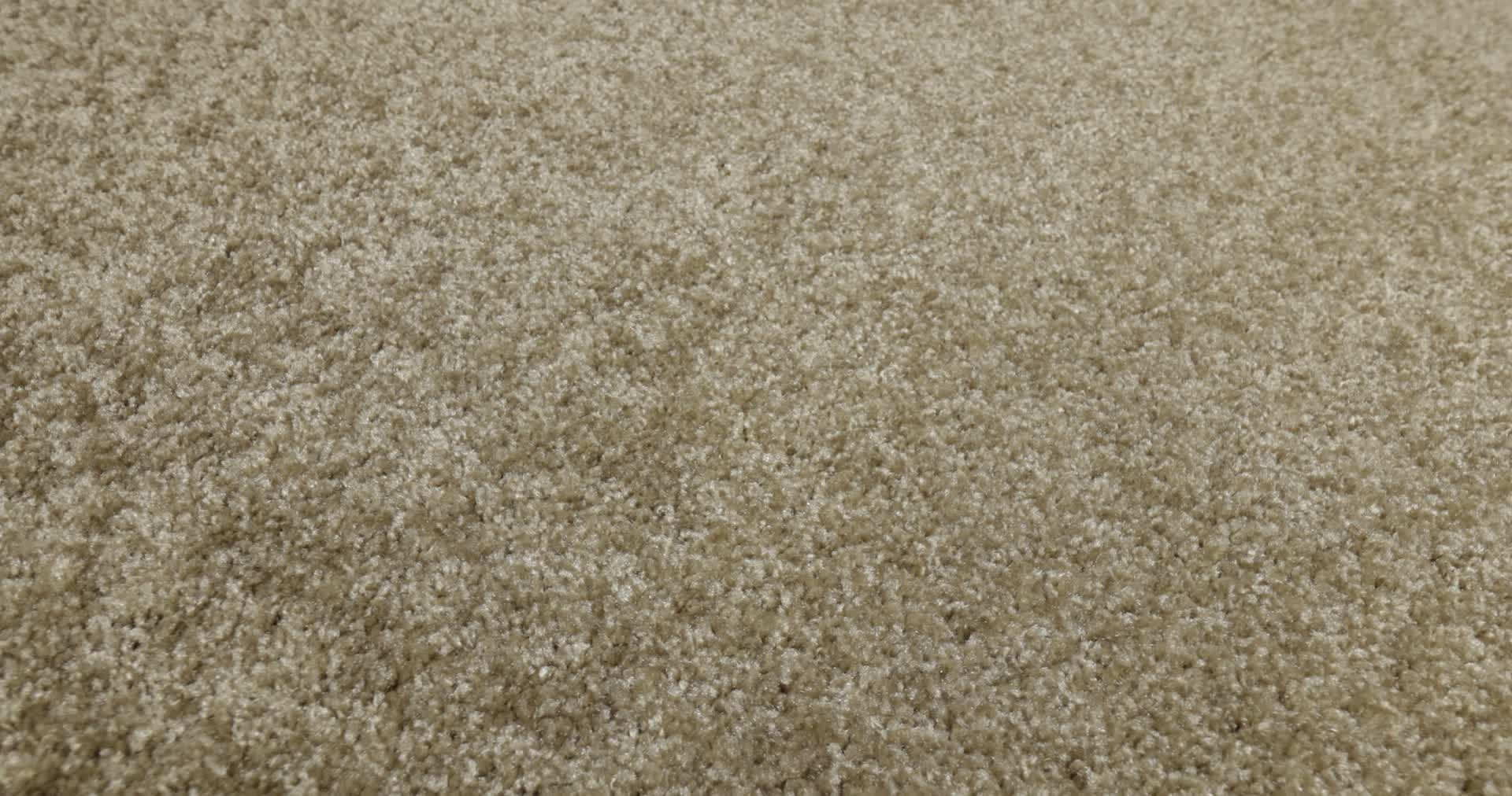 PARLAY VERANDA 360PROD