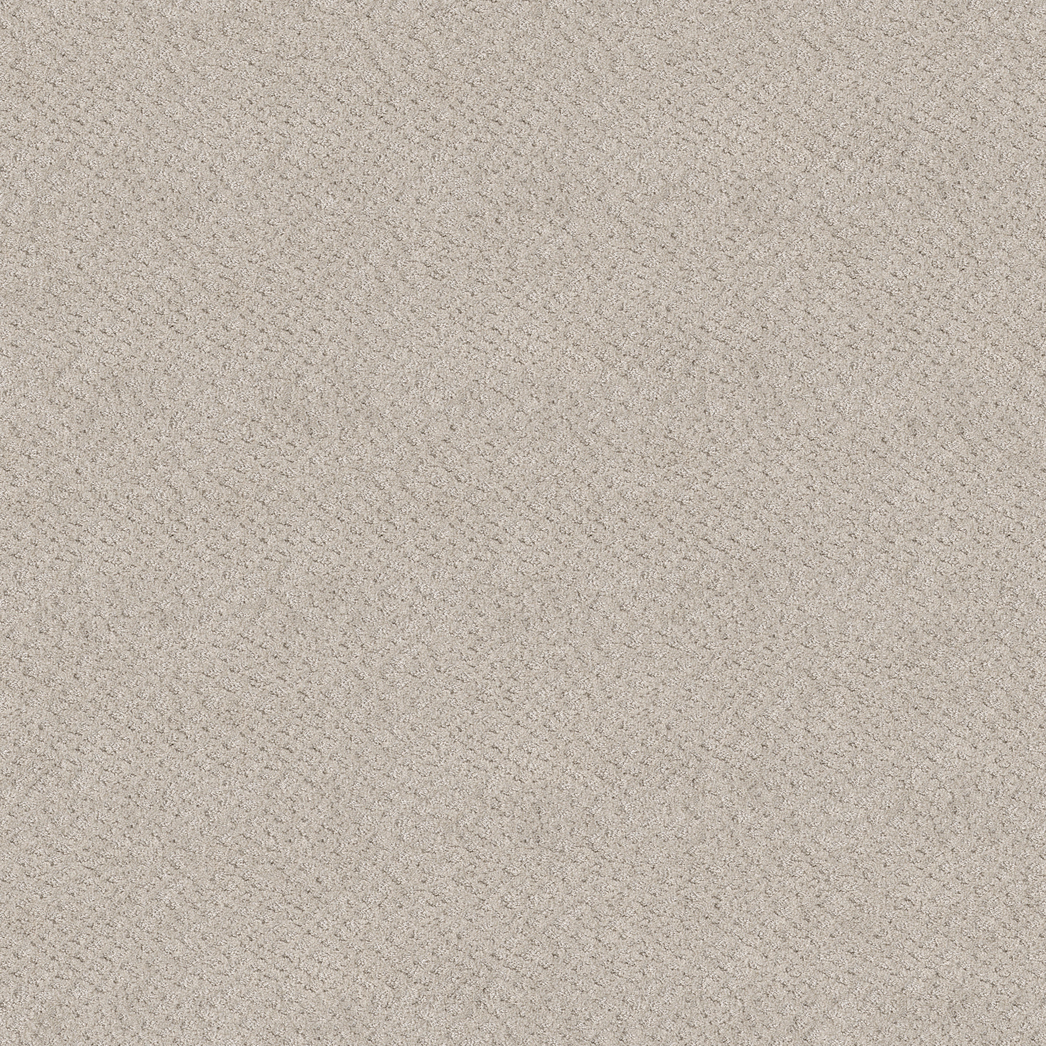 CHIC SHADES SERENE STILL MAIN