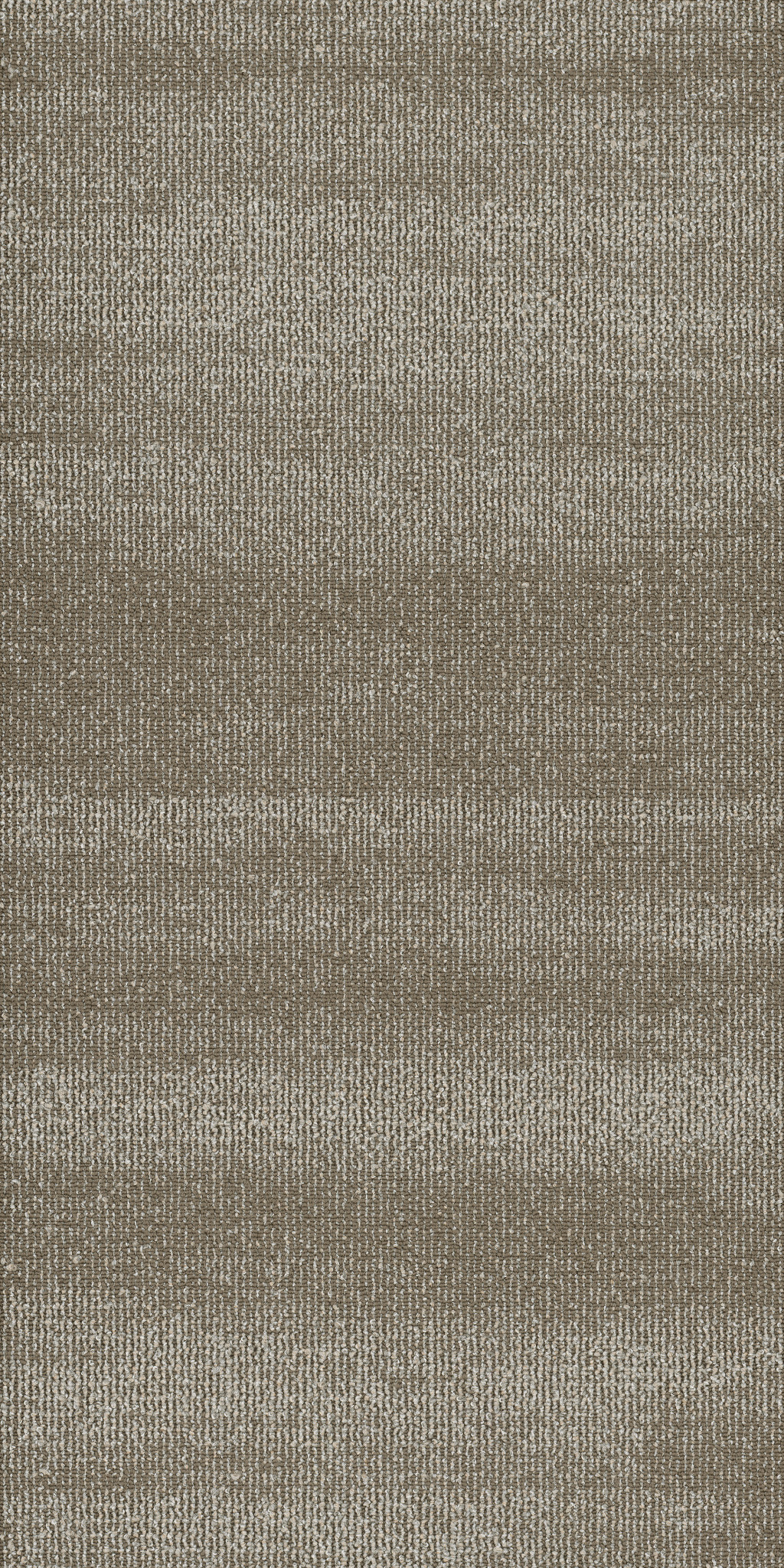 RIDGES-54834-PETRIFIED-WOOD-34710-main-image