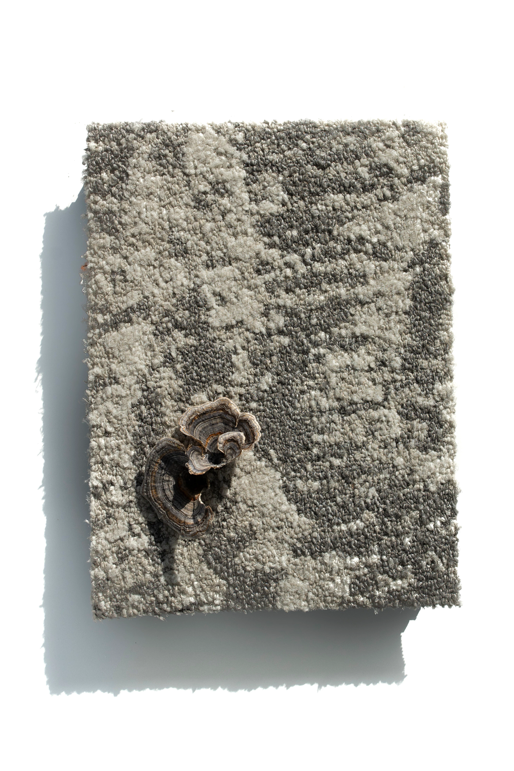 【専用】forest tile◆布製ハーフウォレット Patcraft | wonderment I0679